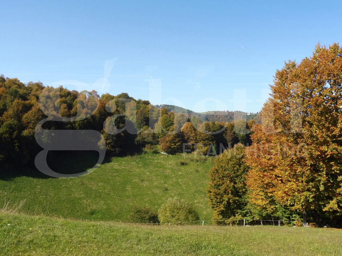 Villa con giardino a Solagna