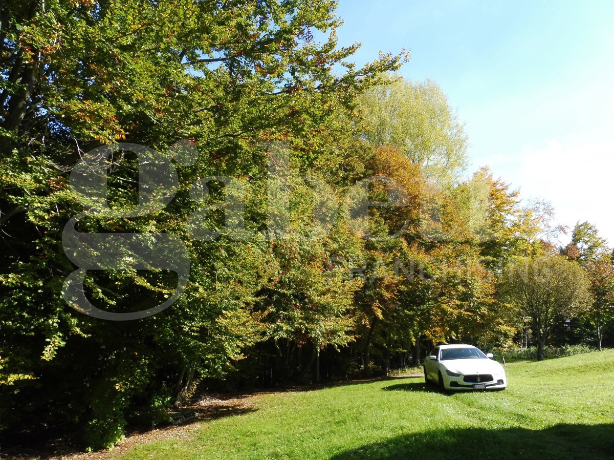Villa con giardino a Solagna