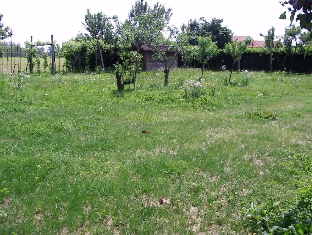 Terreno Agricolo in vendita a Schiavon