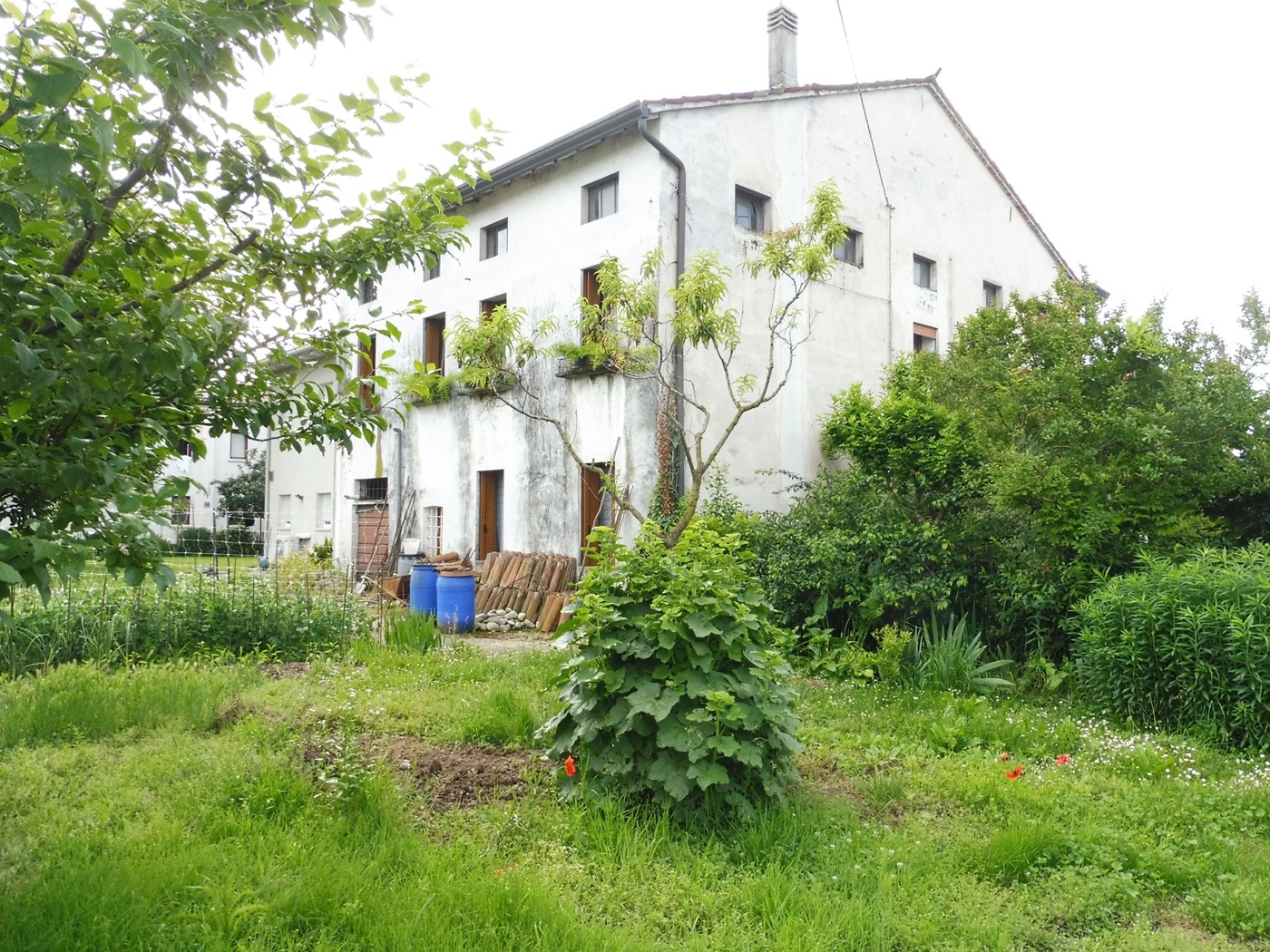 Casa indipendente con giardino a Pozzoleone