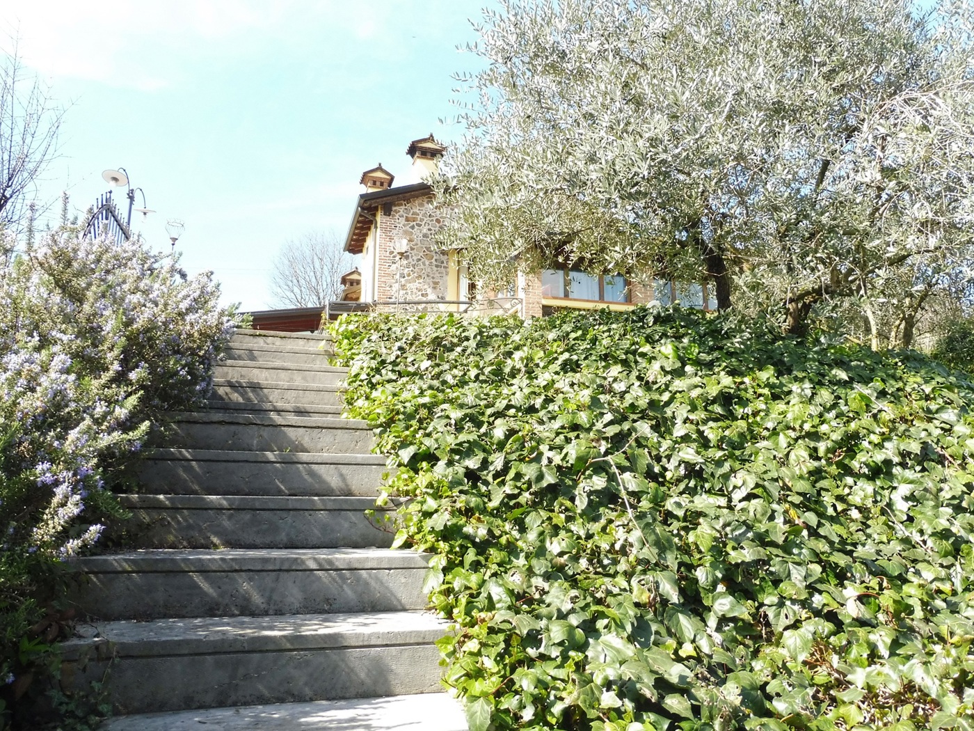 immagine annuncio 7 di 10