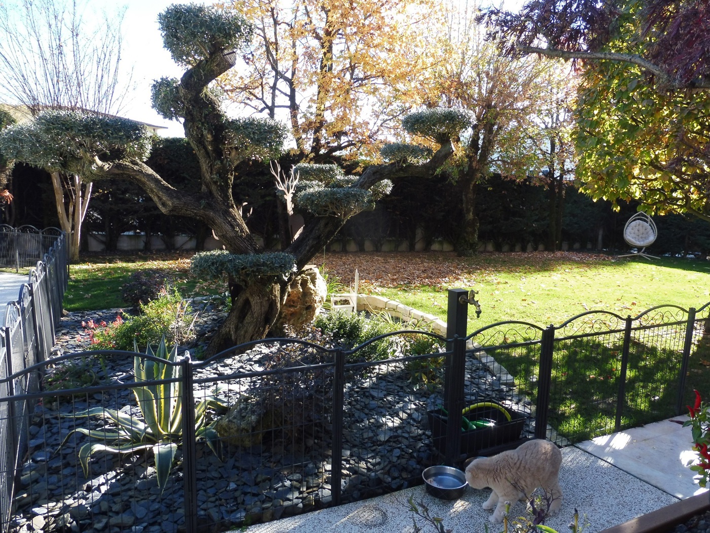 Villa con giardino a Sandrigo