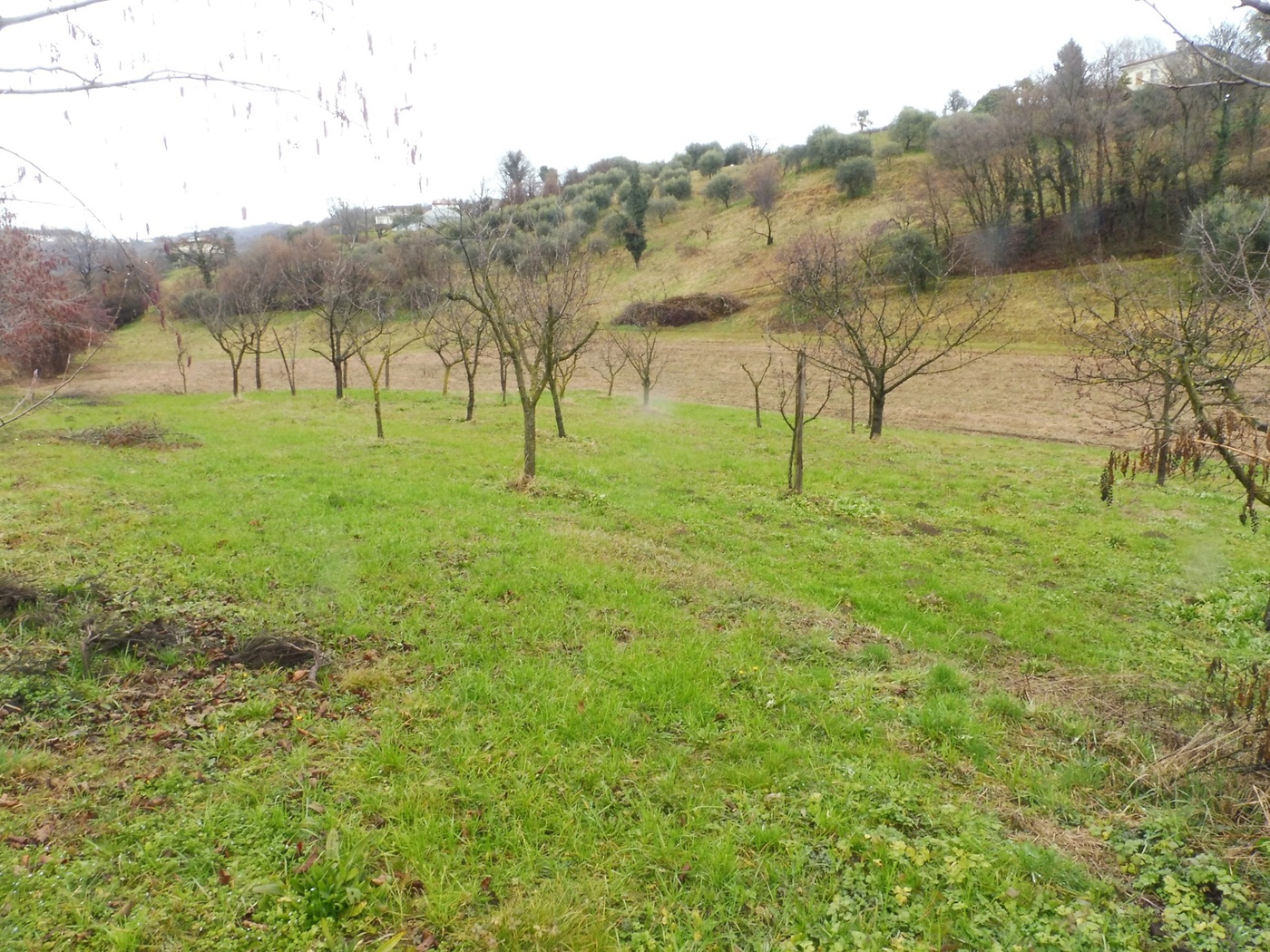 Rustico con giardino a Colceresa