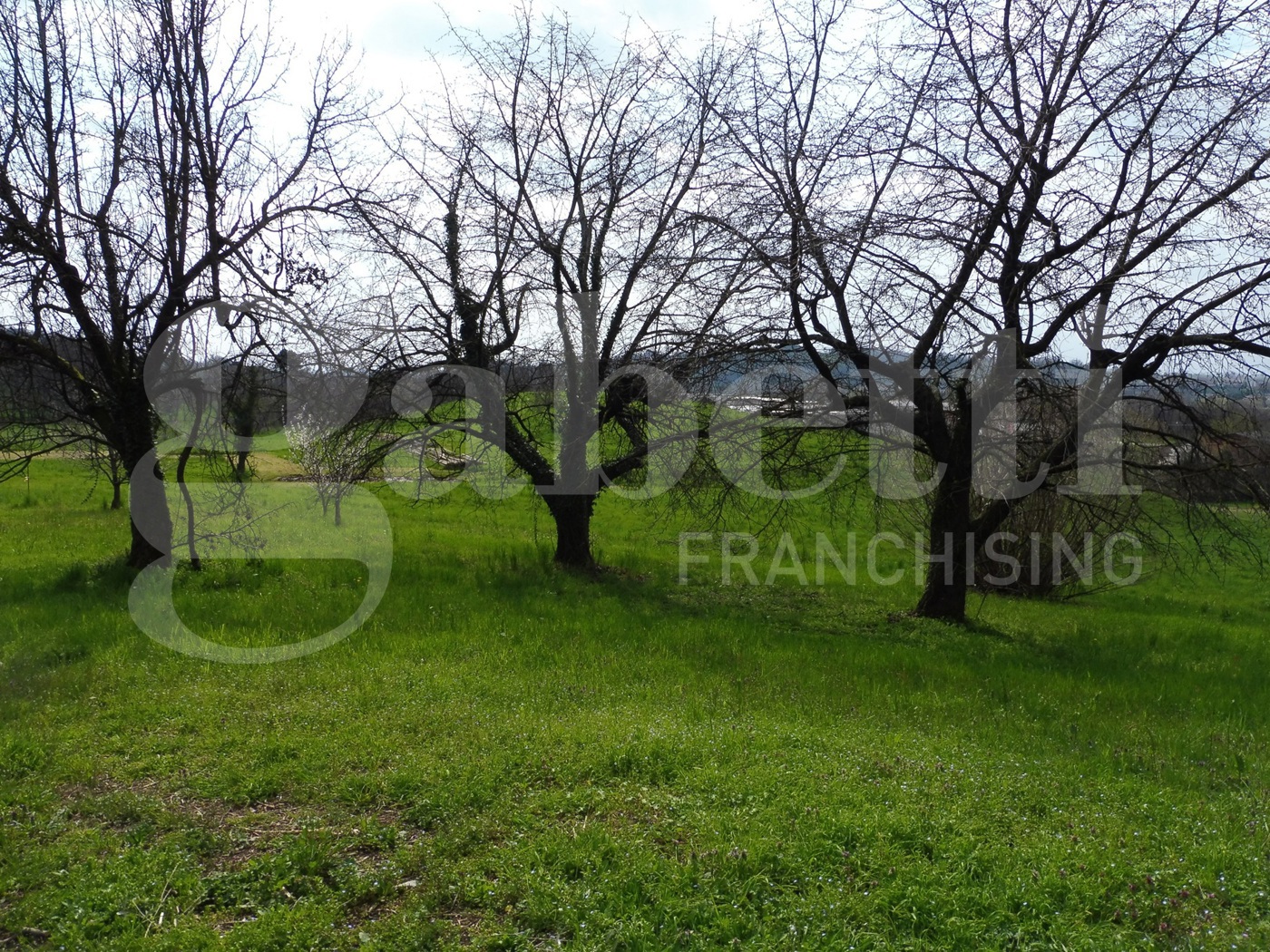 Terreno Agricolo in vendita a Fara Vicentino