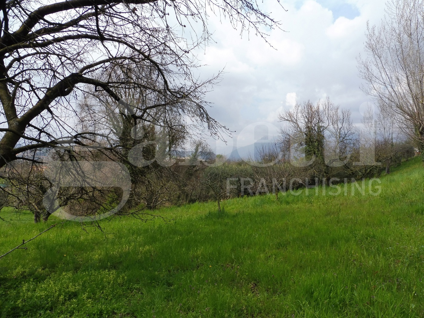 Terreno Agricolo in vendita a Fara Vicentino