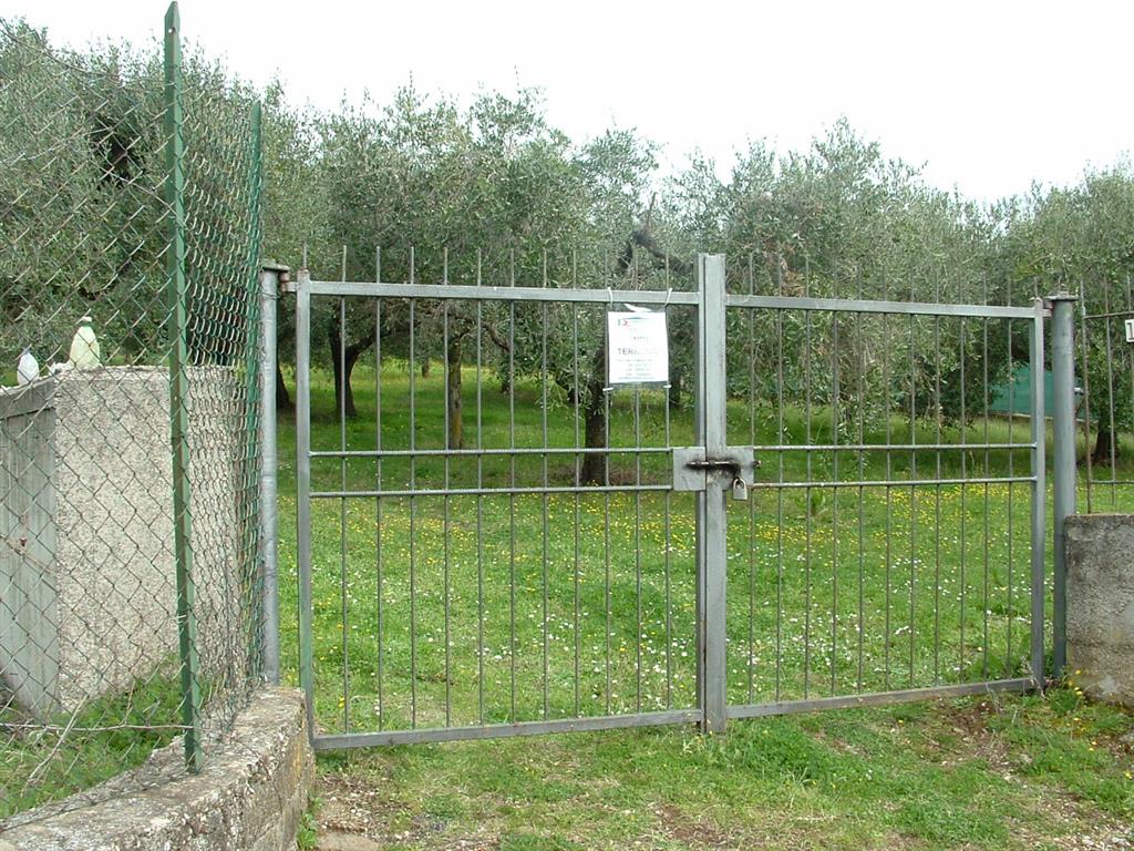Terreno Agricolo in vendita in via dei noccioli 1 a, Albano Laziale