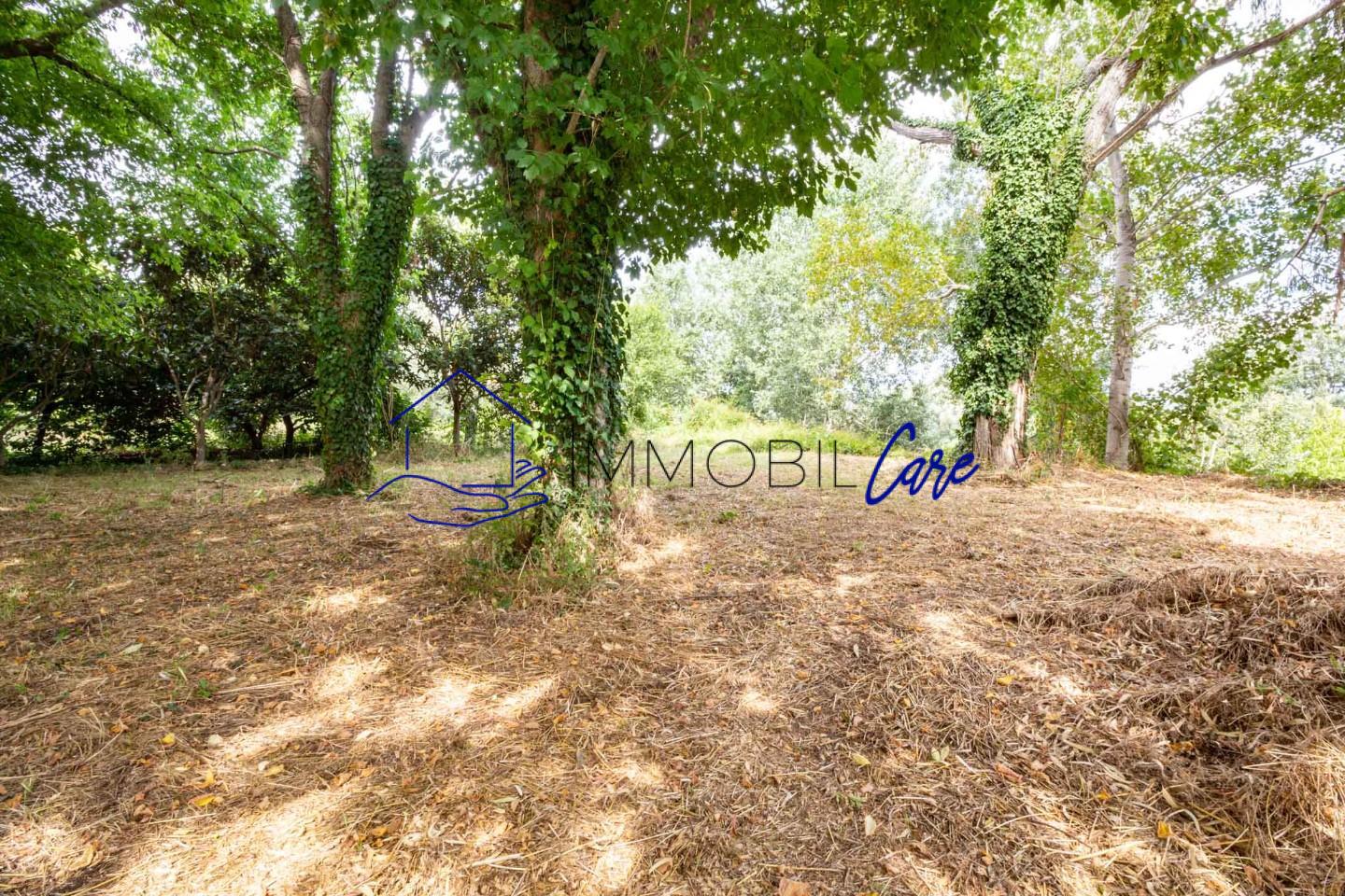 immagine annuncio 4 di 6