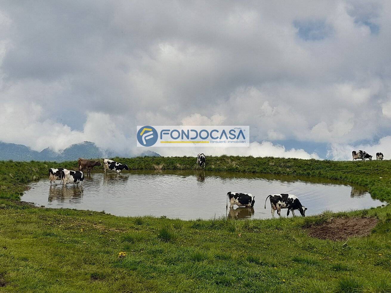Casa indipendente in vendita a Bosco Chiesanuova