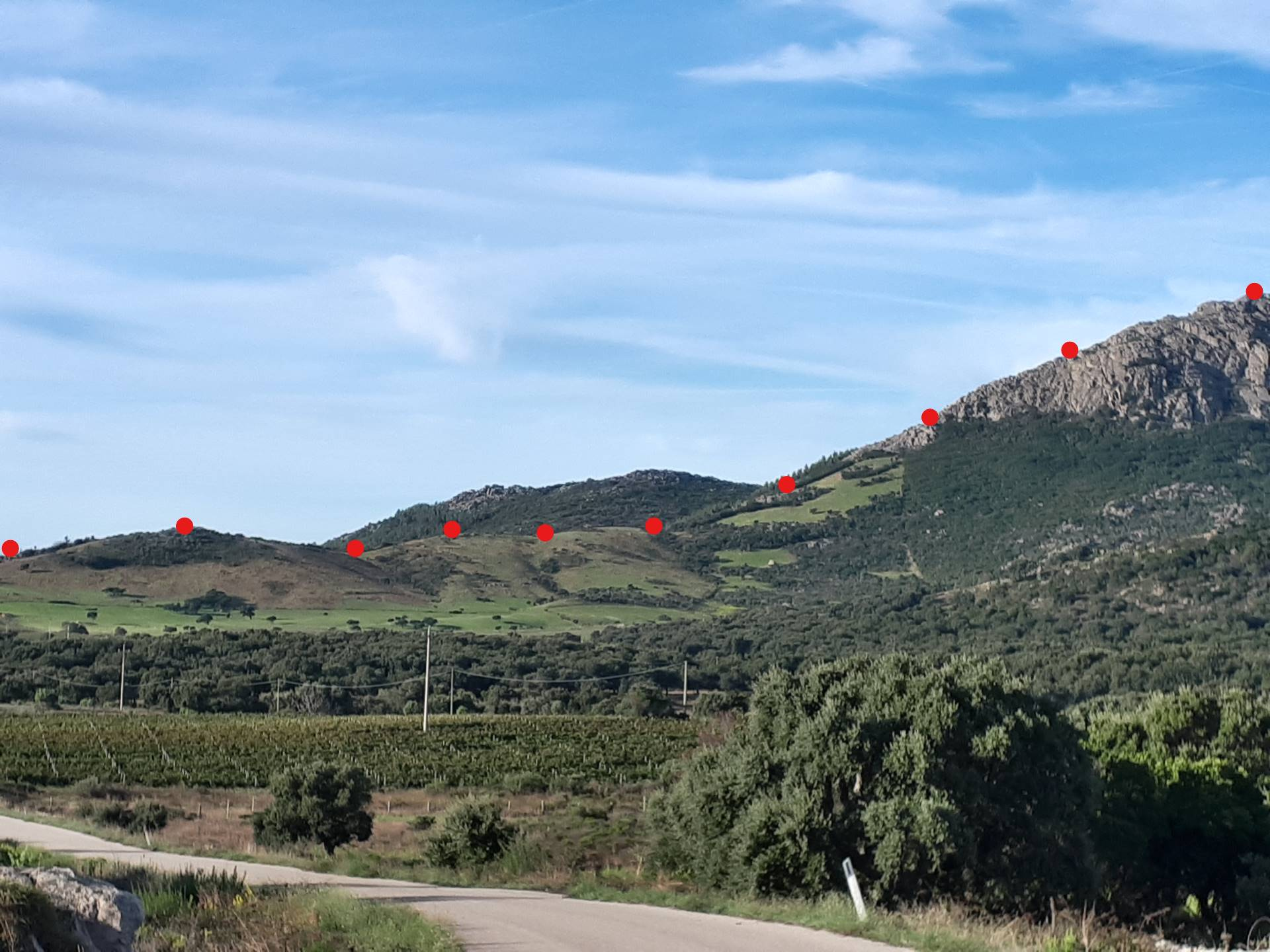 Terreno agricolo in vendita a Berchidda