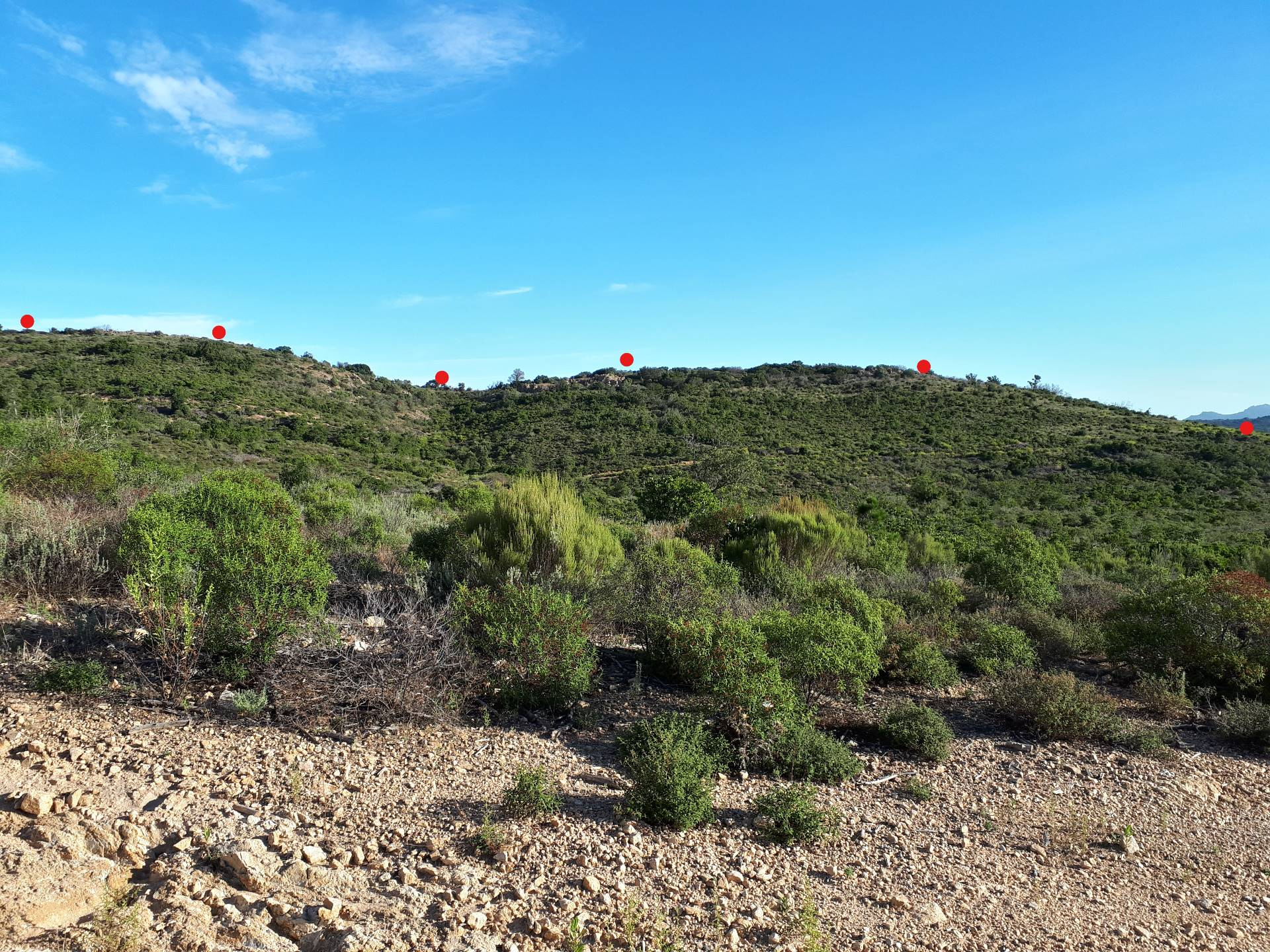 Terreno agricolo in vendita a Berchidda