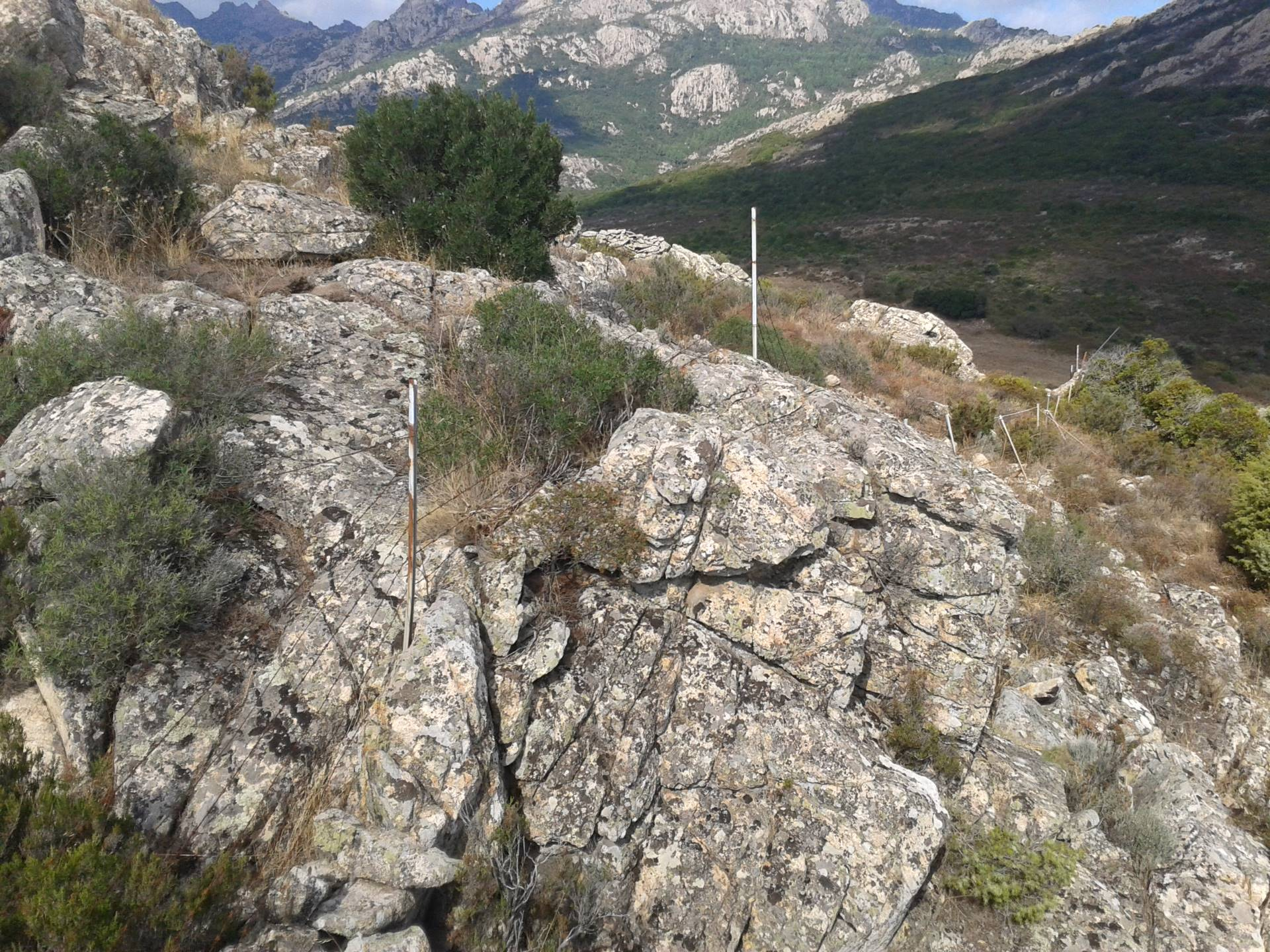 Terreno agricolo in vendita a Berchidda