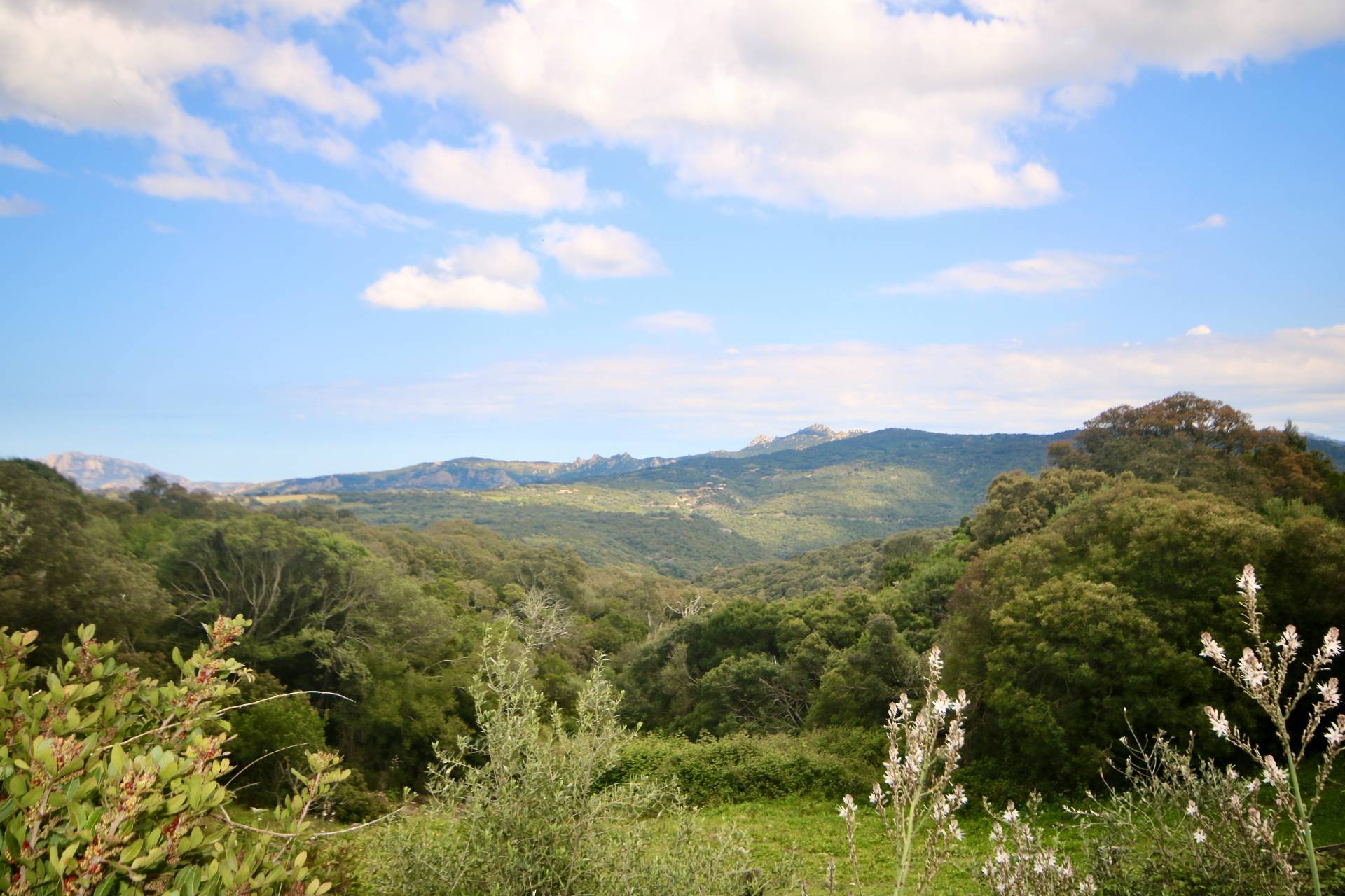 Rustico/Casale/Corte in vendita a Sant'Antonio di Gallura