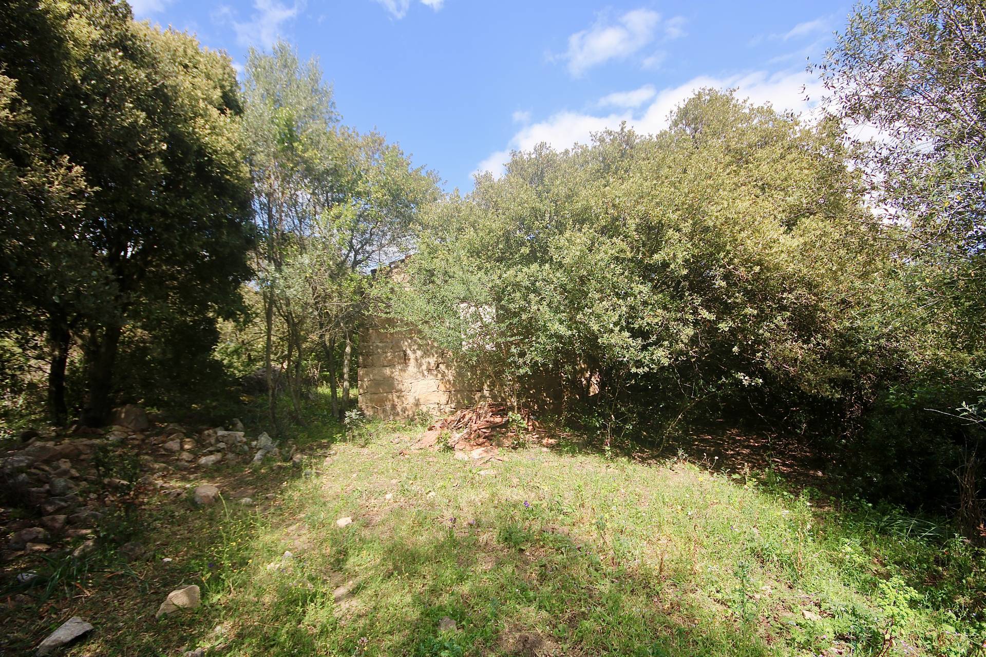 Rustico/Casale/Corte in vendita a Sant'Antonio di Gallura