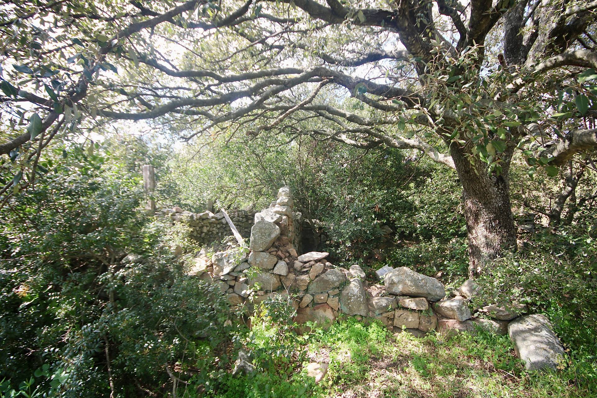 Rustico/Casale/Corte in vendita a Sant'Antonio di Gallura