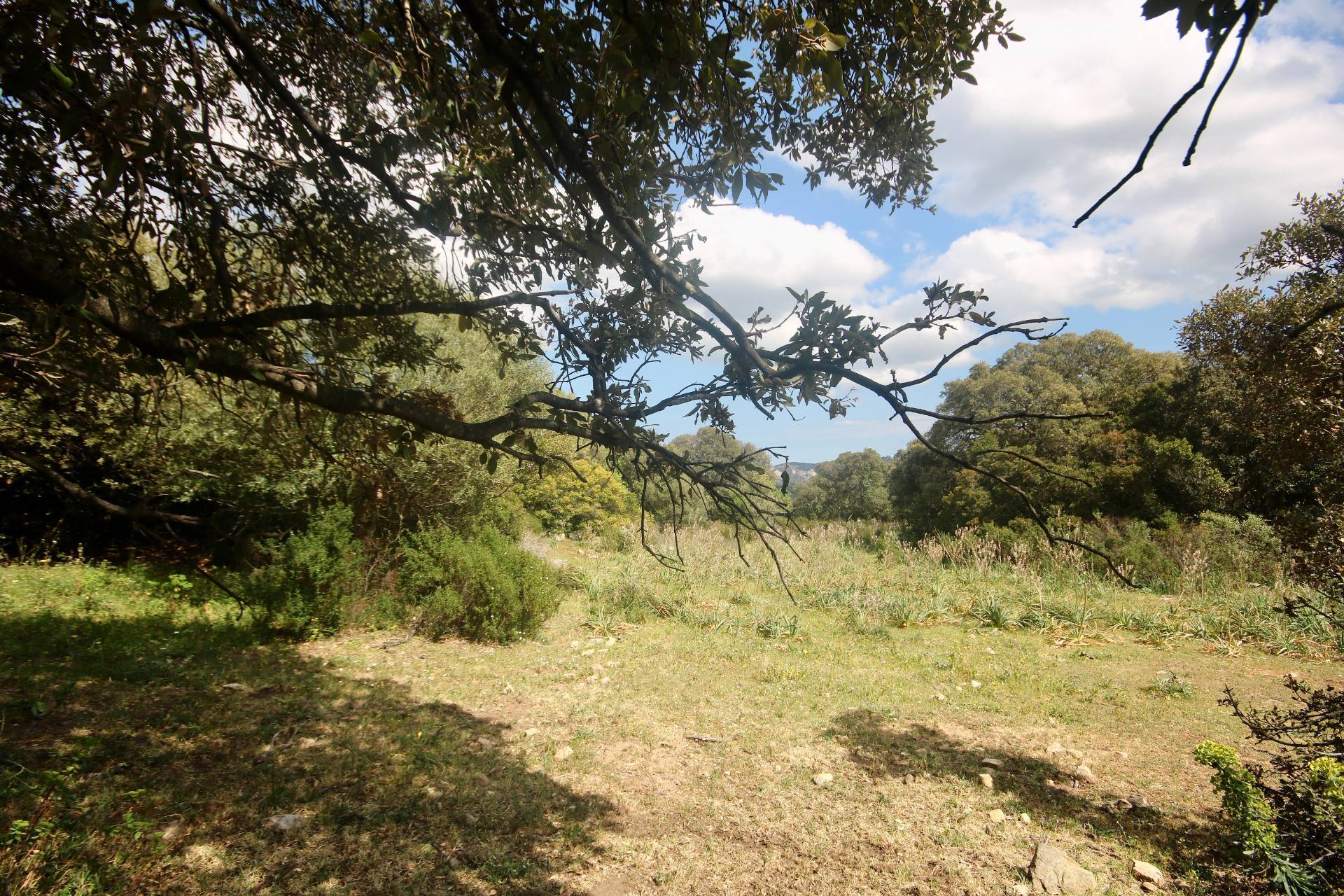 Rustico/Casale/Corte in vendita a Sant'Antonio di Gallura