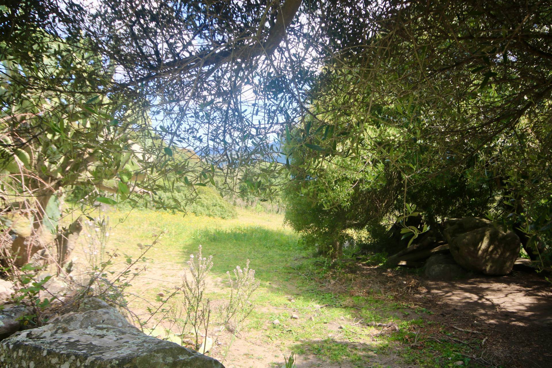 Terreno in vendita a Sant'Antonio di Gallura