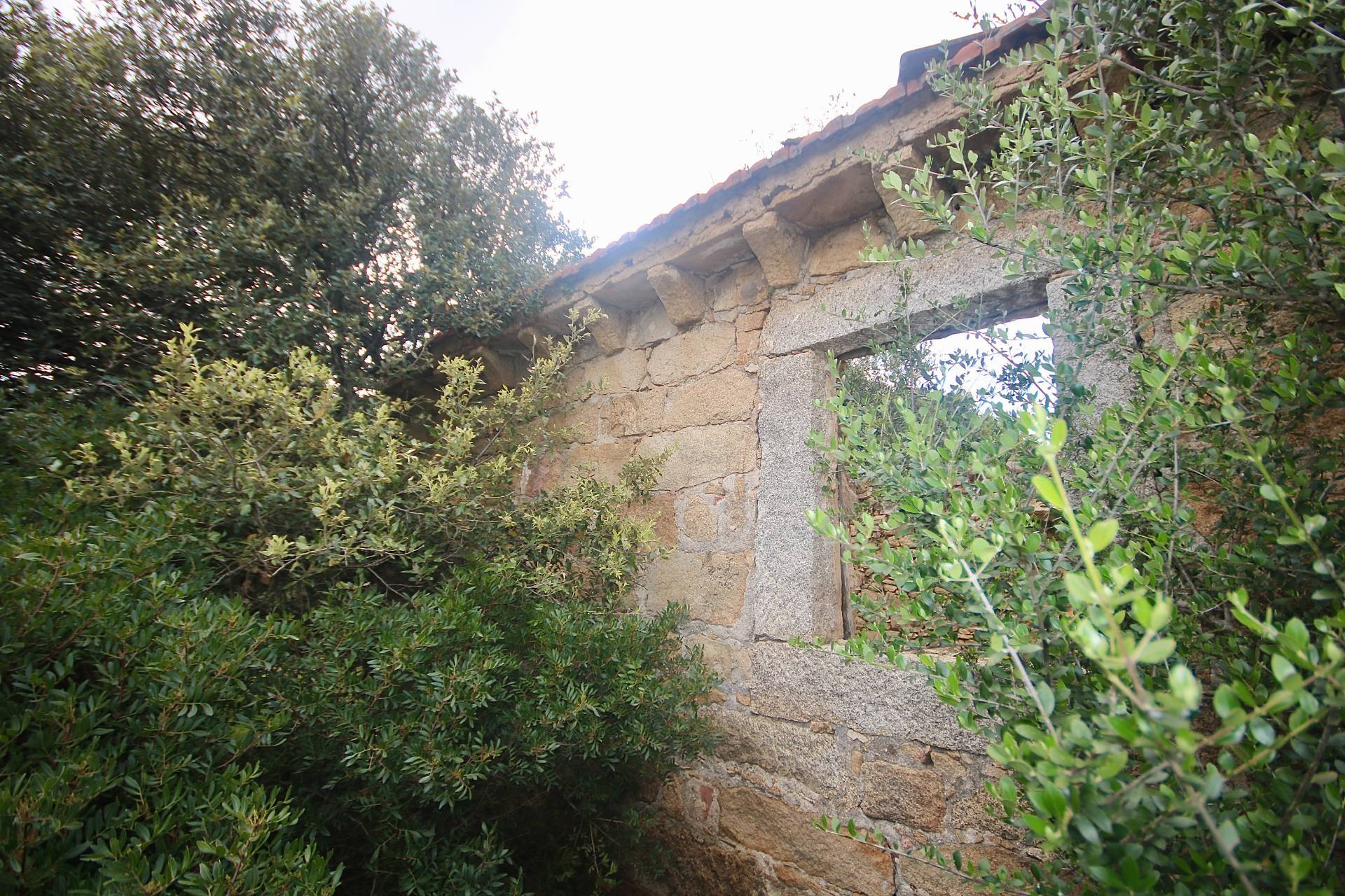 Terreno in vendita a Sant'Antonio di Gallura