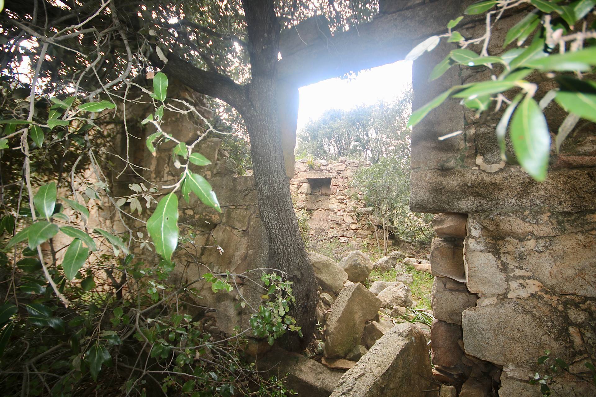 Terreno in vendita a Sant'Antonio di Gallura