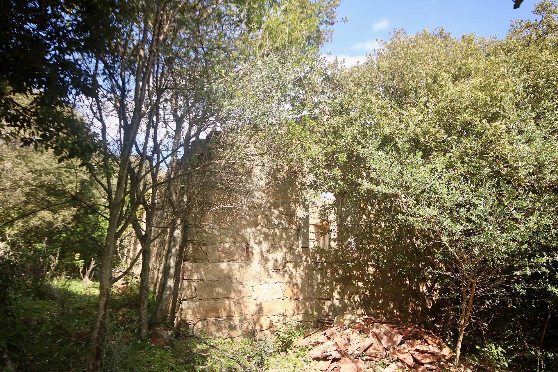 Terreno in vendita a Sant'Antonio di Gallura