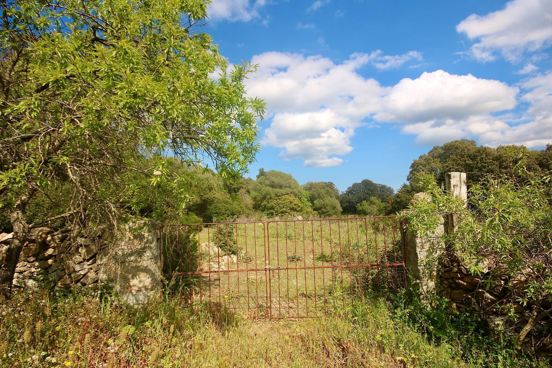 Terreno in vendita a Sant'Antonio di Gallura