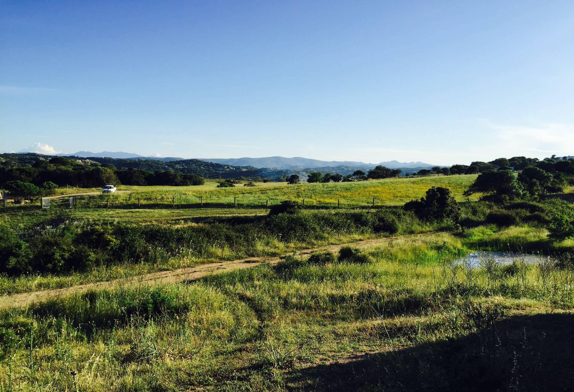 Attivit commerciale in vendita a Arzachena, PAESE
