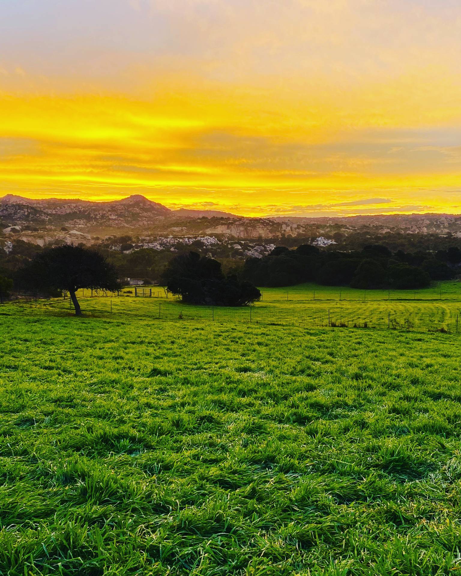 Attivit commerciale in vendita a Arzachena, PAESE