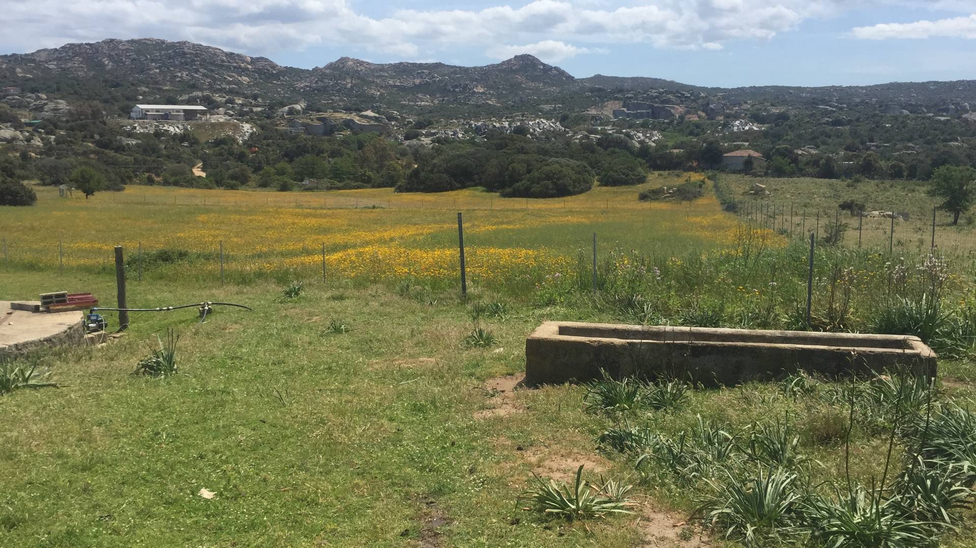 Attivit commerciale in vendita a Arzachena, PAESE