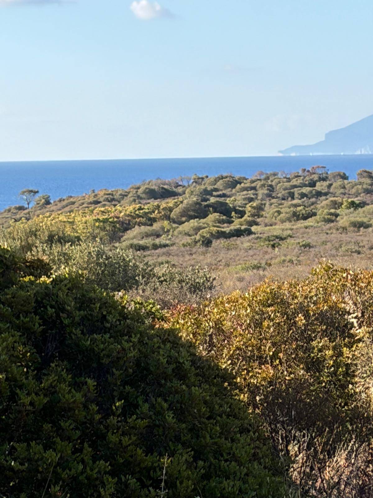Terreno agricolo in vendita a Orosei