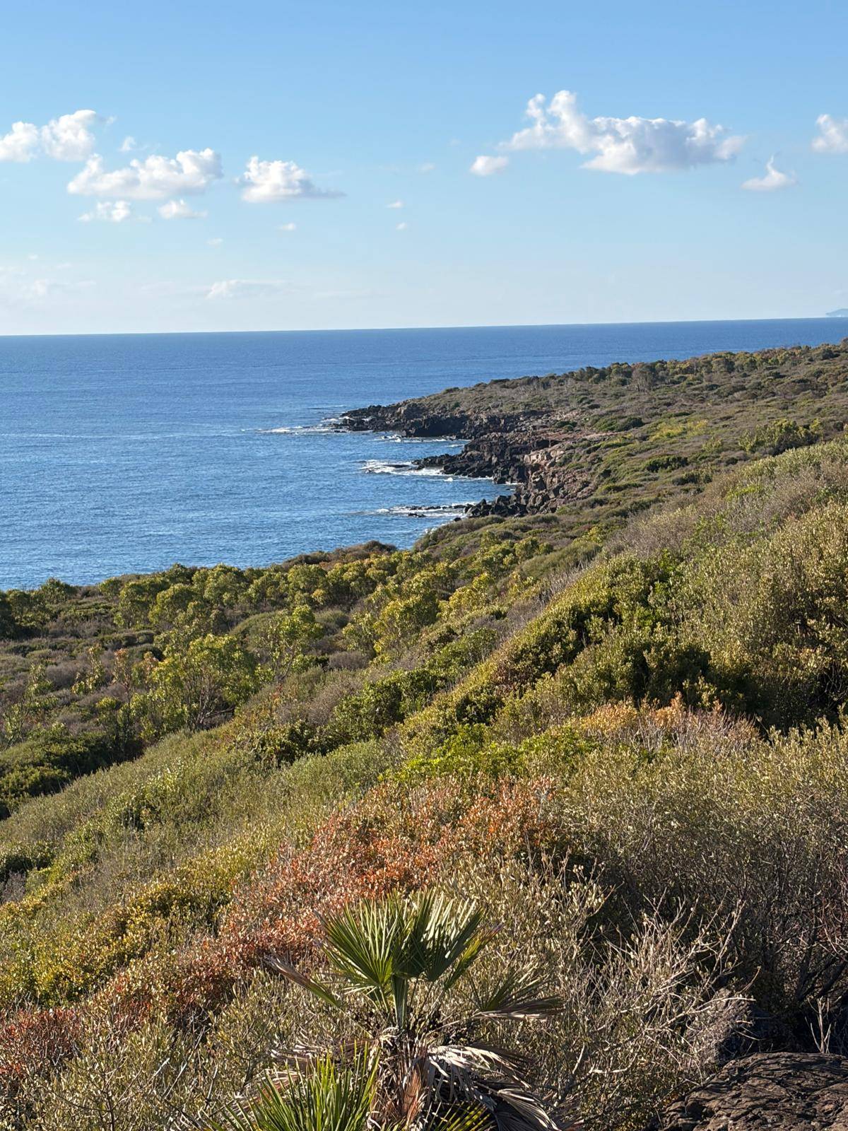 Terreno agricolo in vendita a Orosei