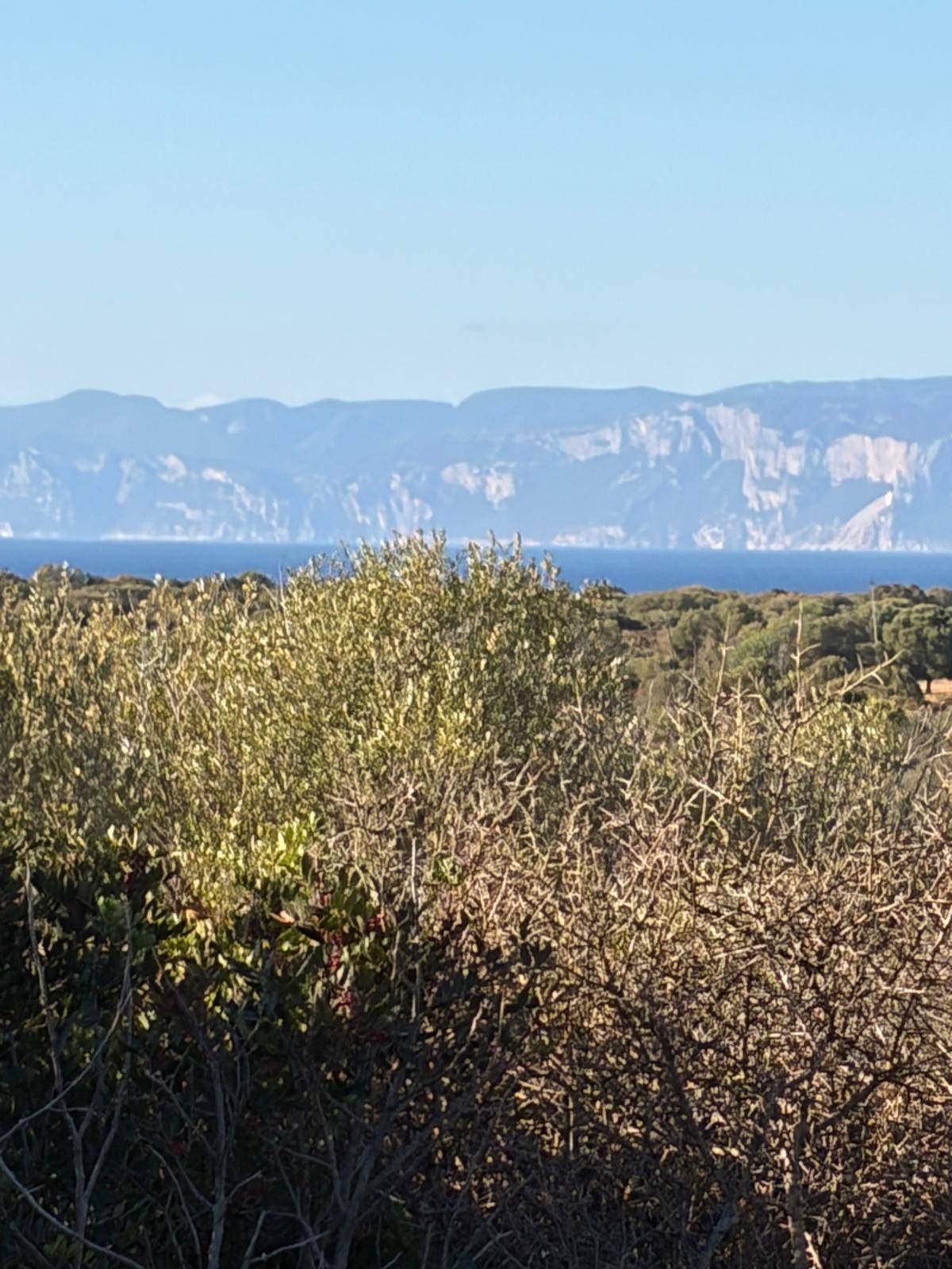 Terreno agricolo in vendita a Orosei