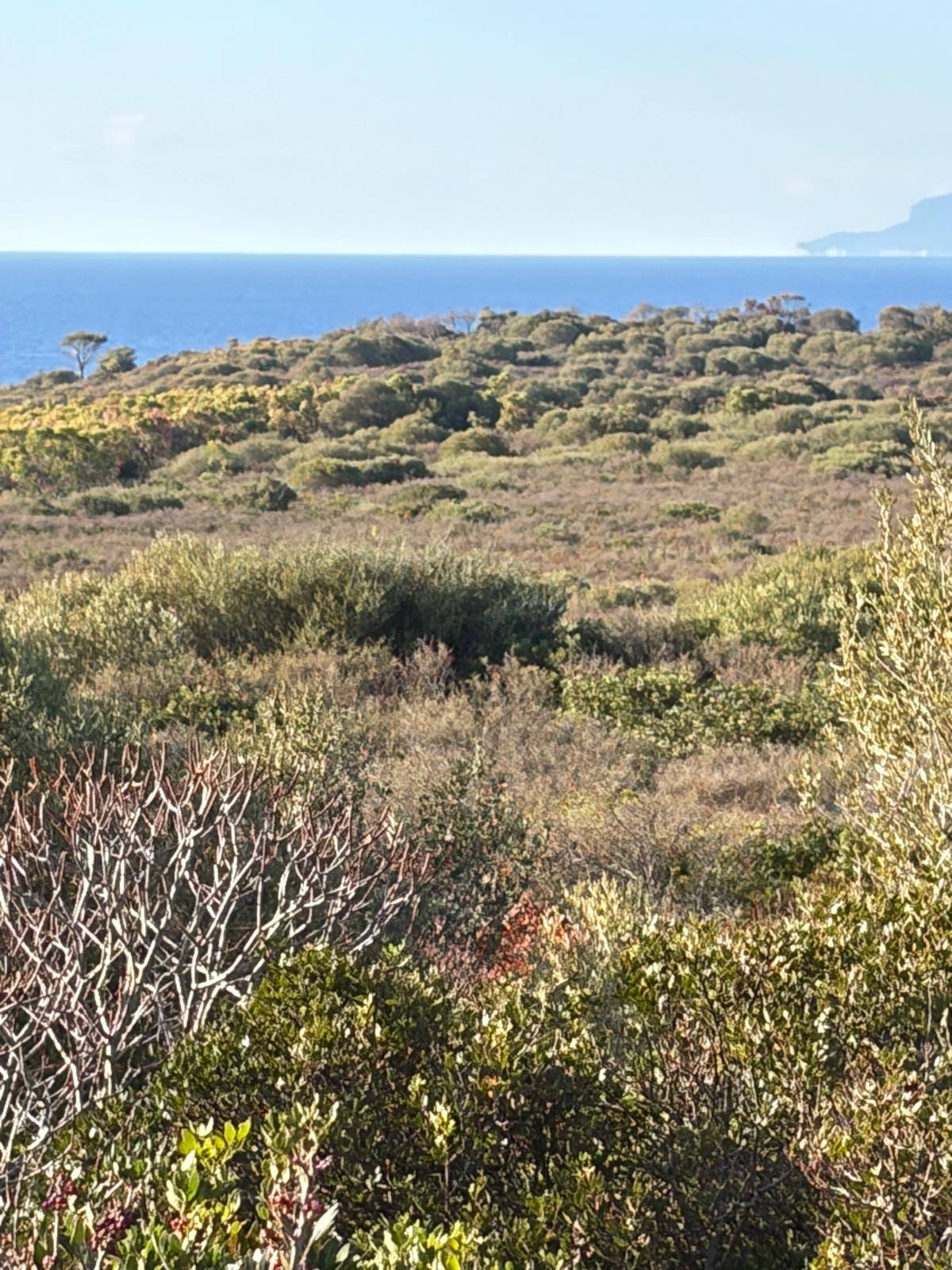 Terreno agricolo in vendita a Orosei