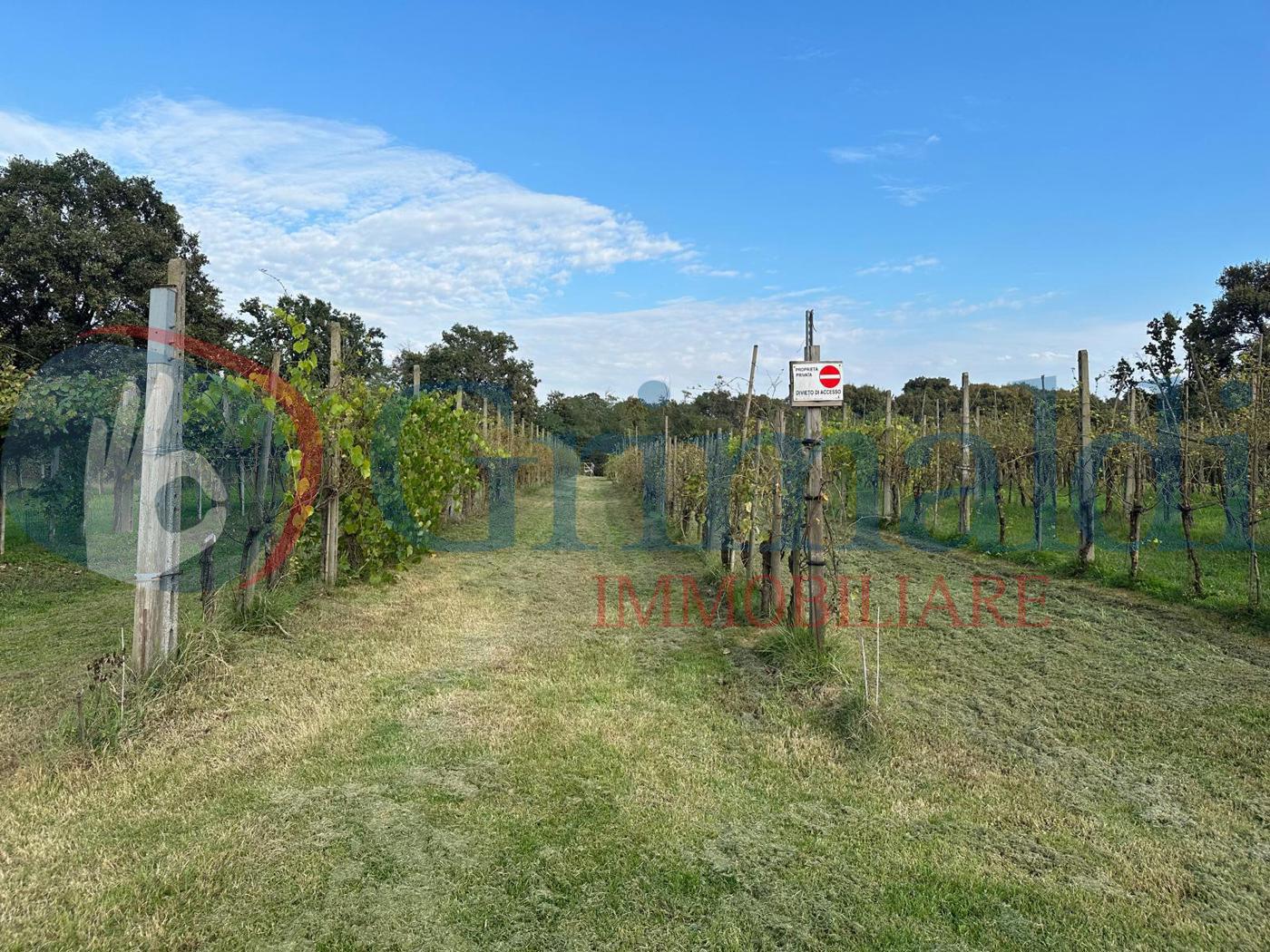 Terreno Agricolo in vendita a Graffignana