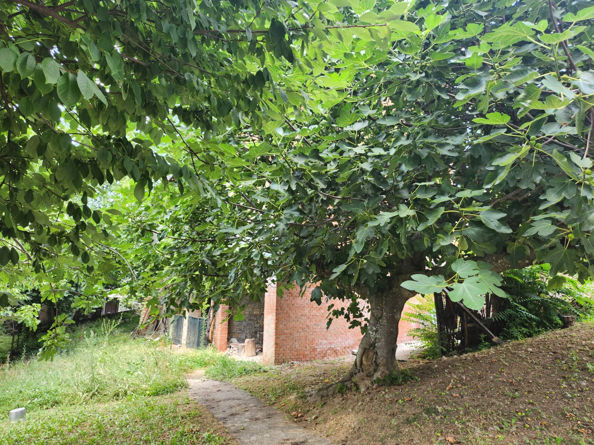 immagine annuncio 1 di 6