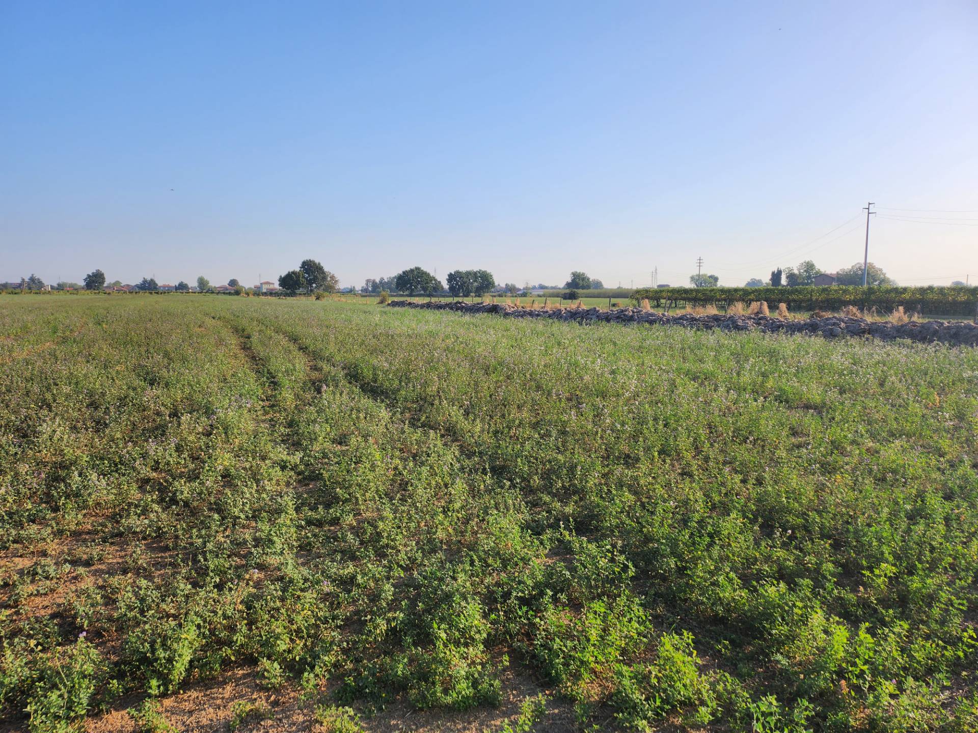 Terreno Agricolo in vendita a Formigine, Corlo