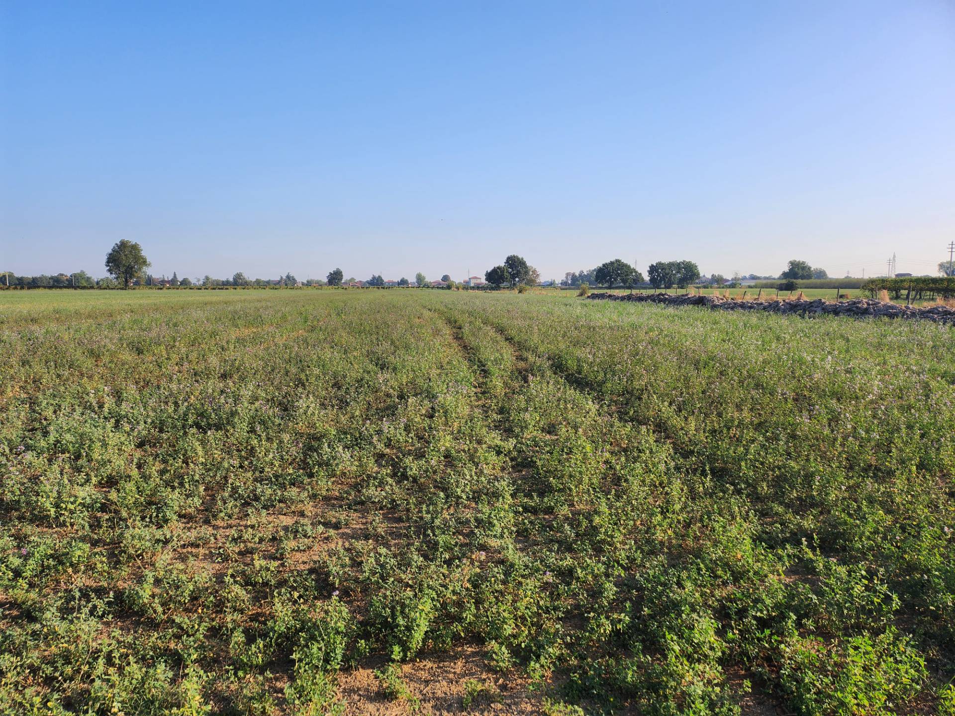 Terreno Agricolo in vendita a Formigine, Corlo