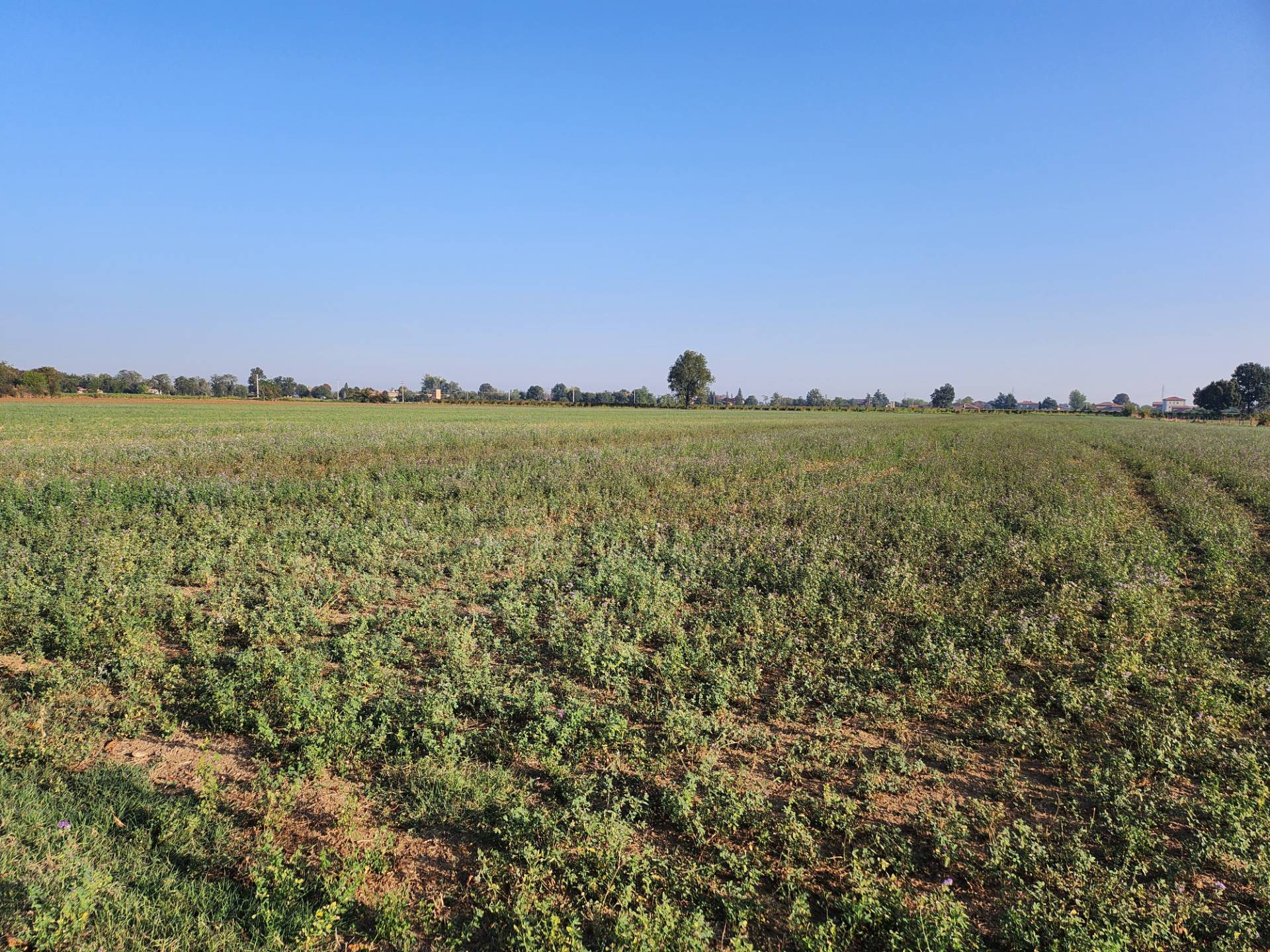 Terreno Agricolo in vendita a Formigine, Corlo