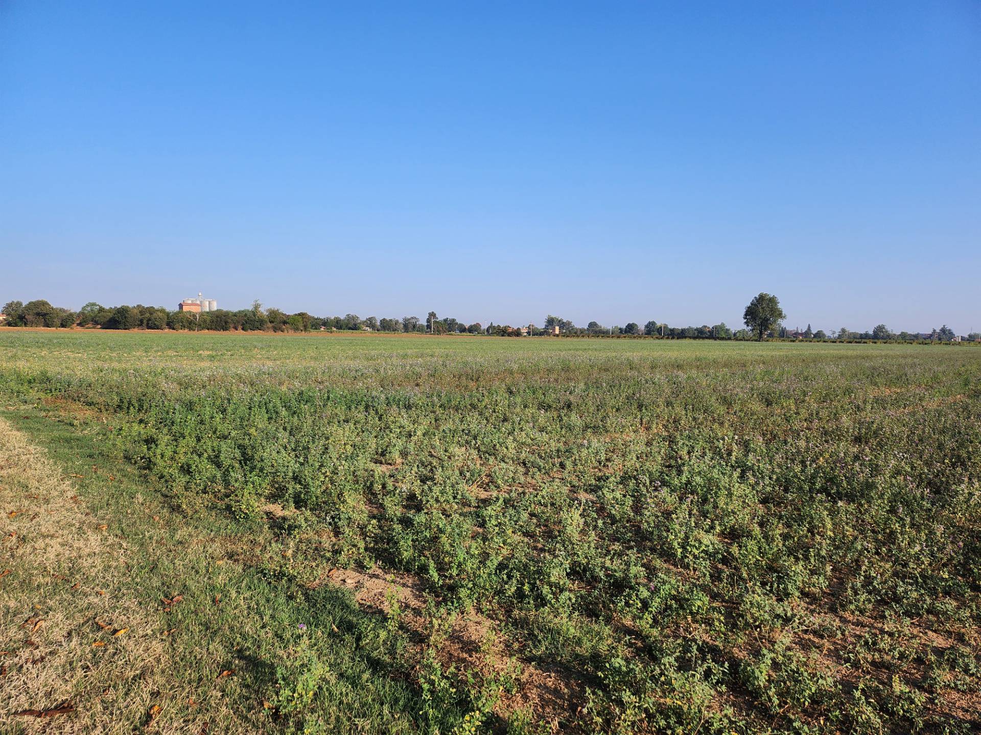 Terreno Agricolo in vendita a Formigine, Corlo