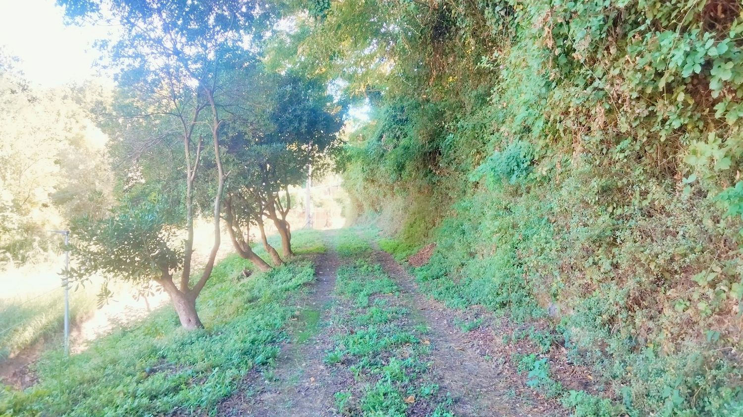 Terreno in vendita in via giuseppe trara genoino cla tolomeo 0, Cava de' Tirreni