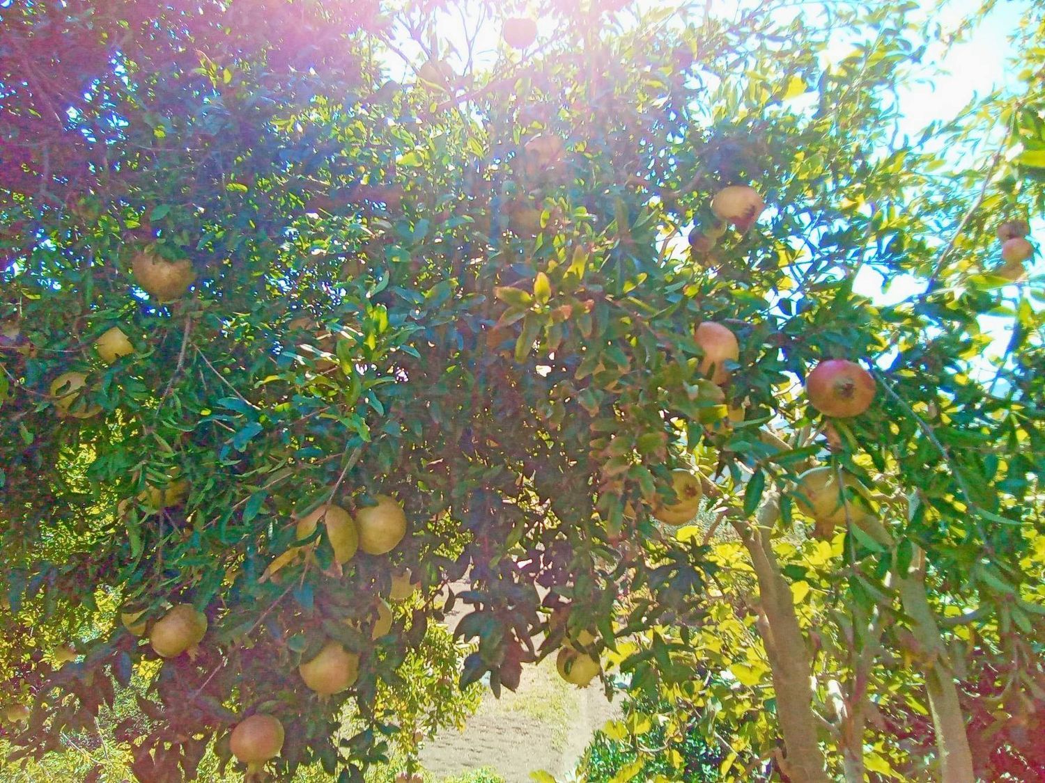 Quadrilocale in vendita in traversa nicola longobardi 0, Cava de' Tirreni