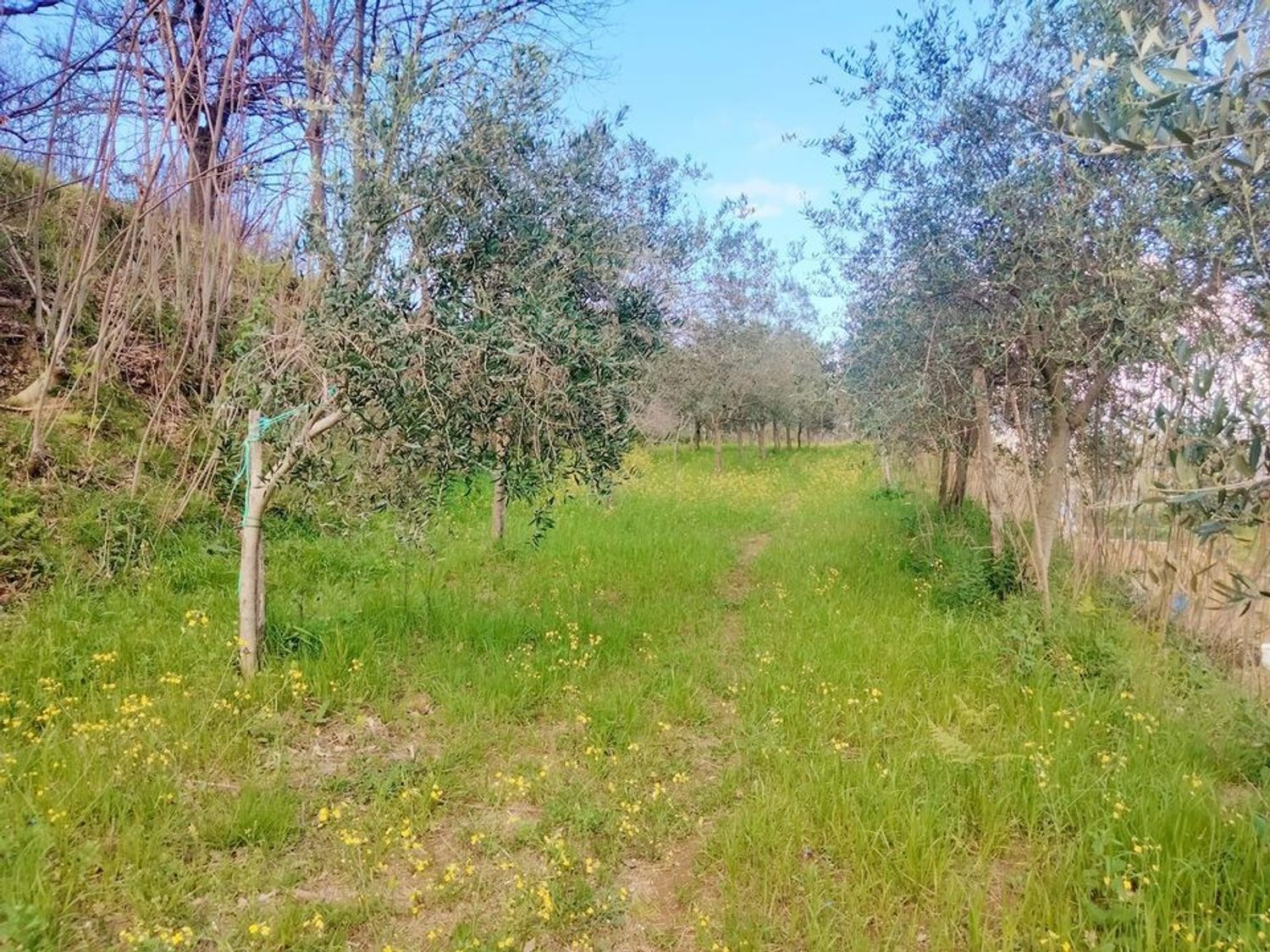 Terreno in vendita in via raffaele luciano 0, Cava de' Tirreni