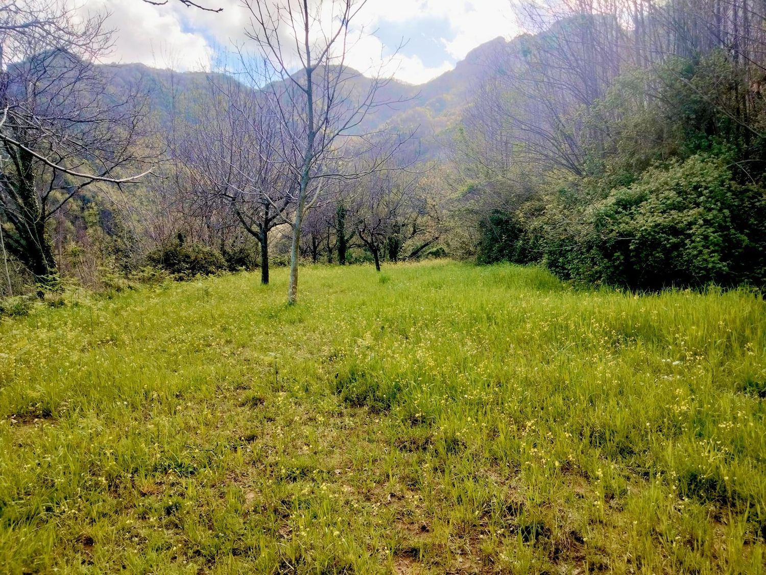 Terreno in vendita in via raffaele luciano 0, Cava de' Tirreni