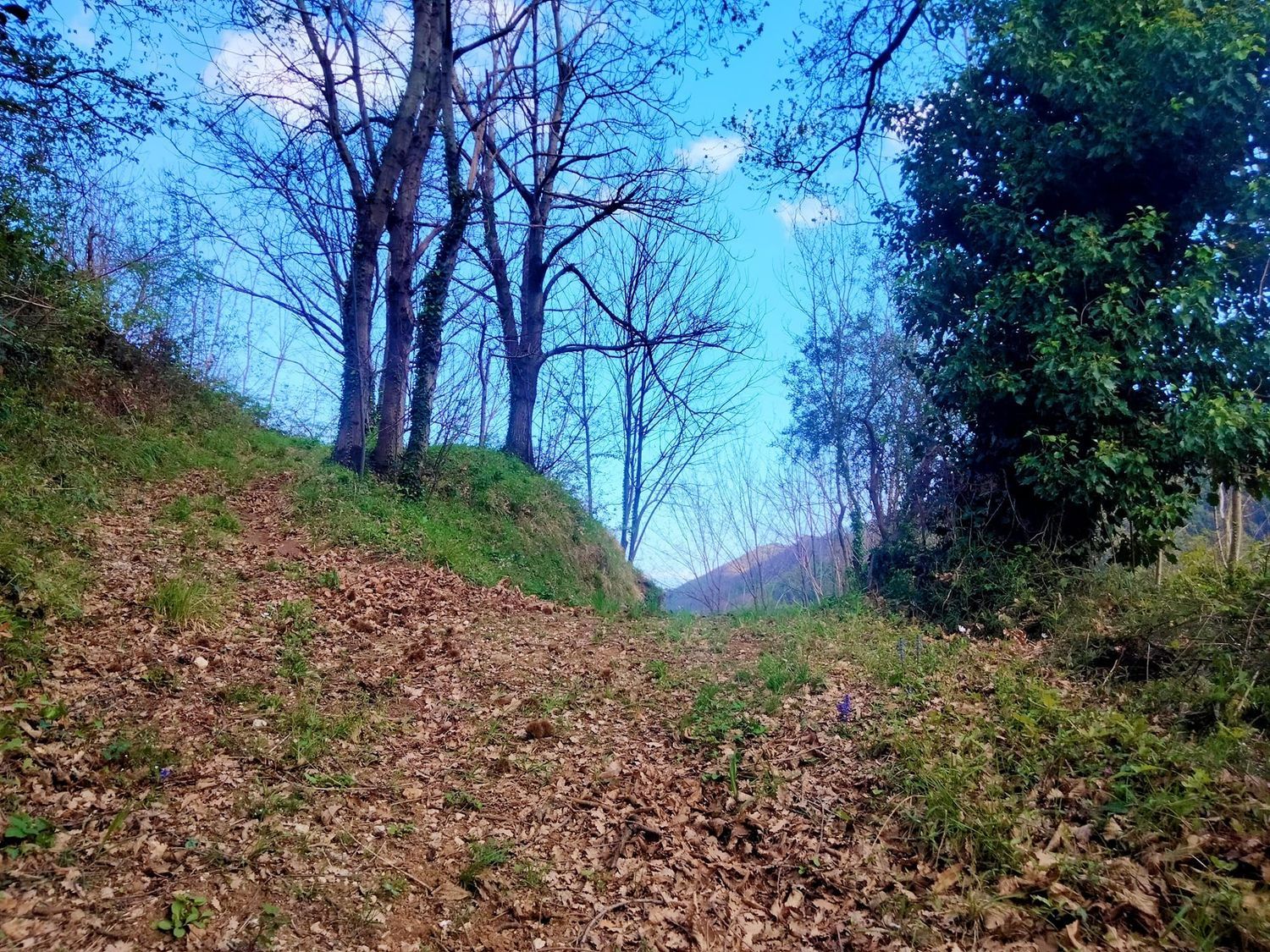 Terreno in vendita in via raffaele luciano 0, Cava de' Tirreni