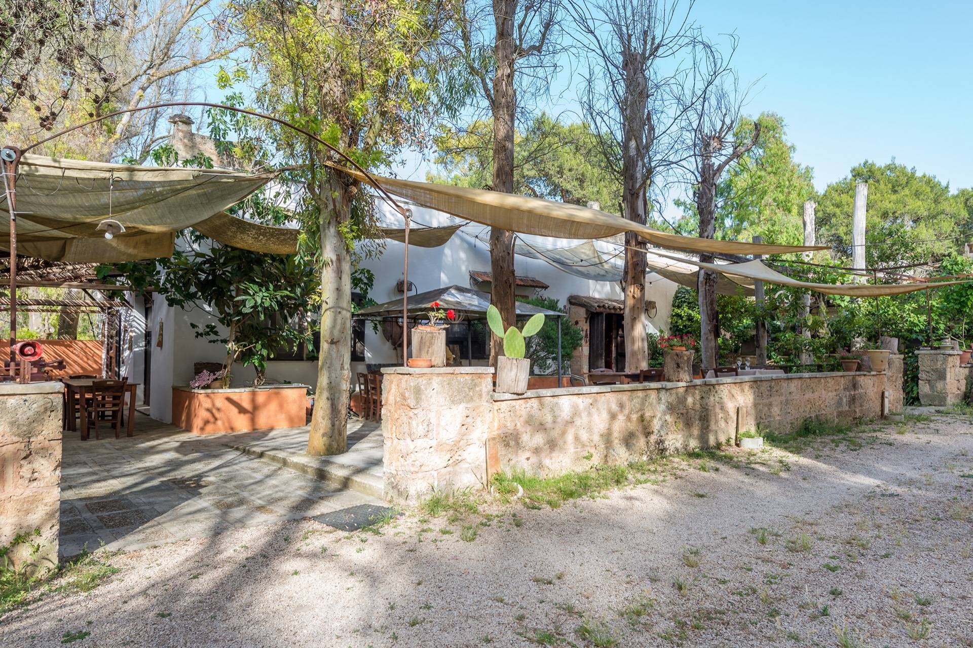 ATTIVITA COMMERCIALE in vendita a Galatina