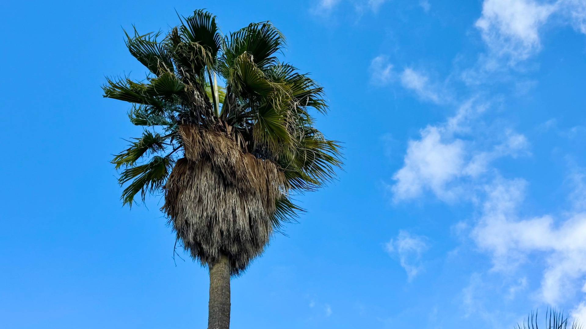 Casa singola in vendita a Veglie