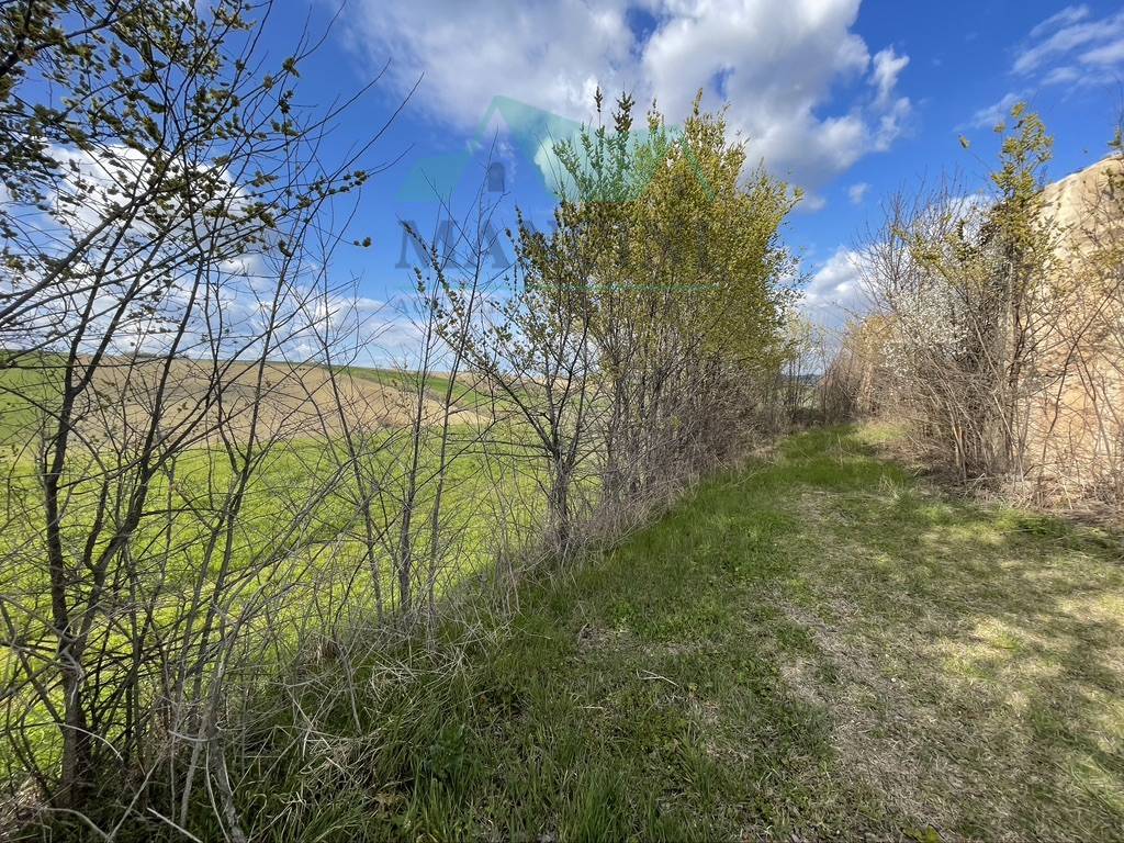 Rustico in vendita a Cingoli, periferia