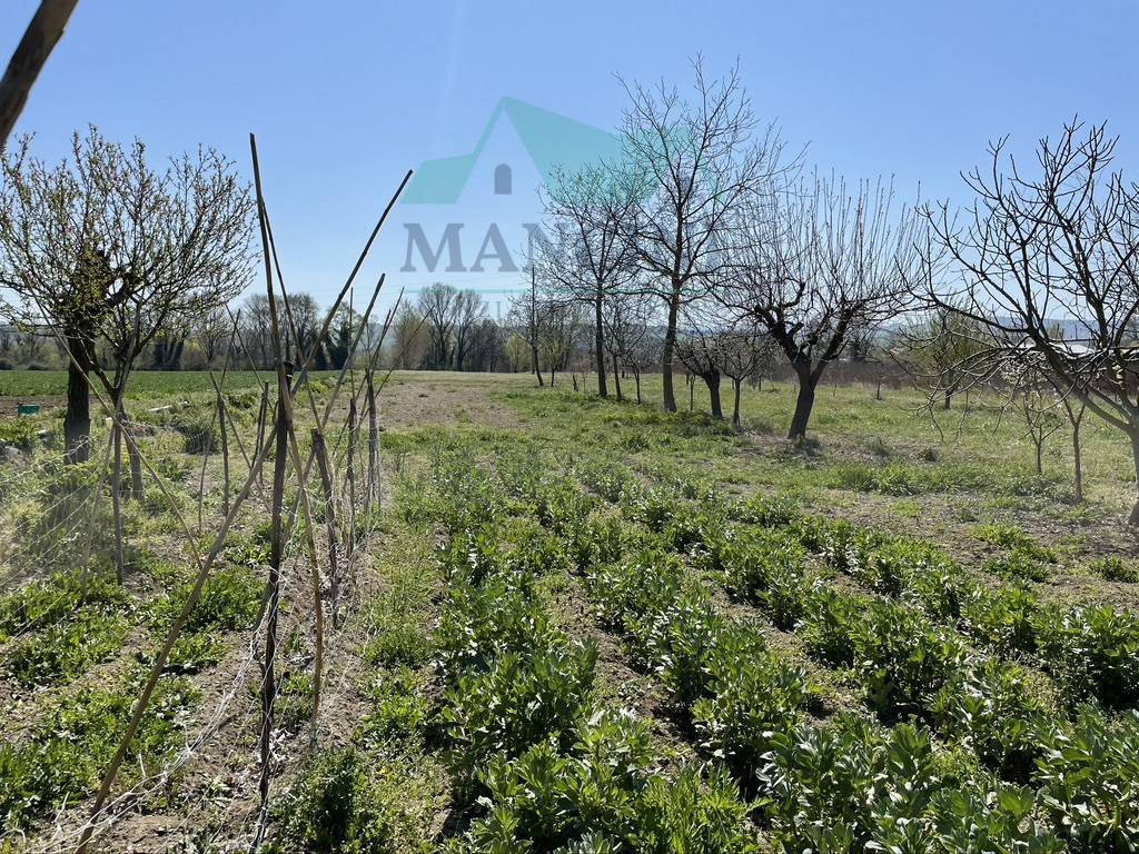 Terreno Agricolo in vendita a Jesi, Spina