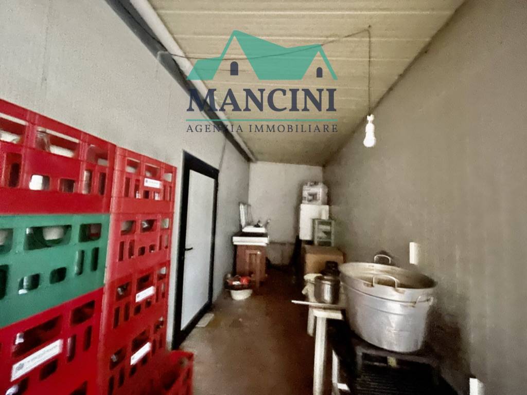 Negozio in affitto a Jesi