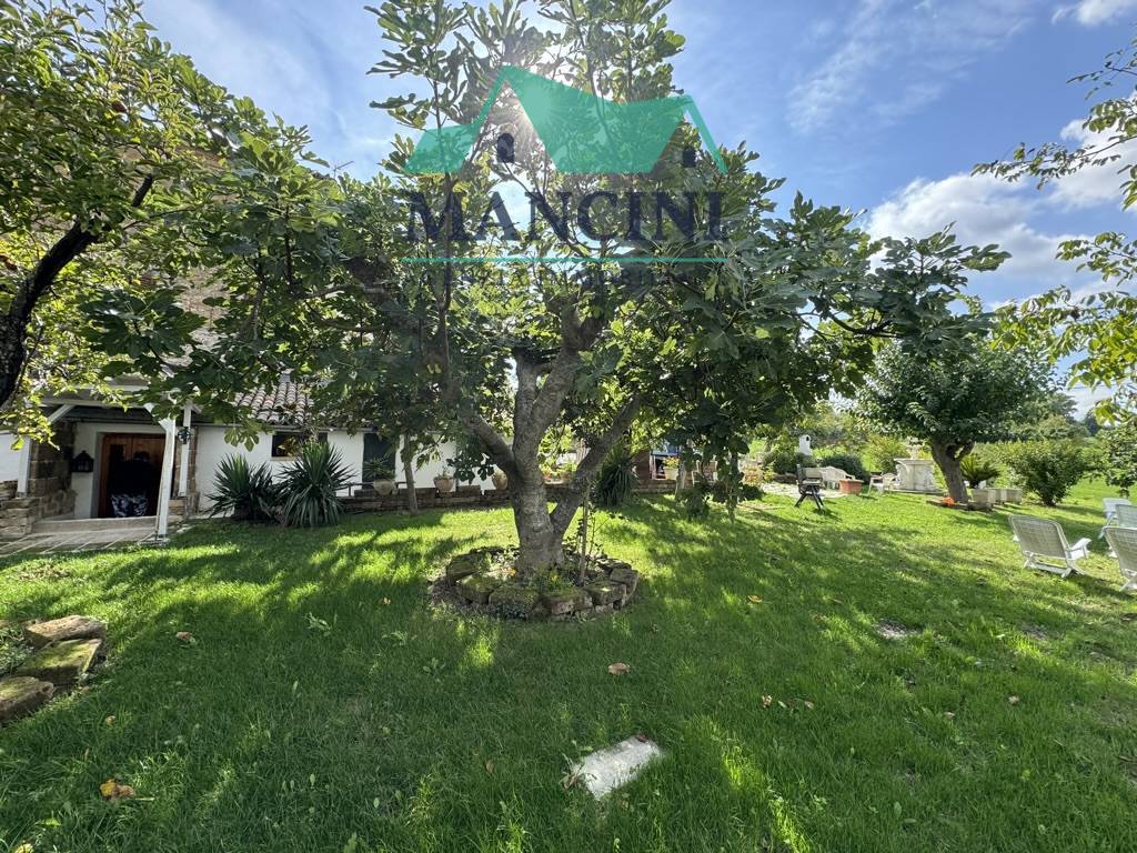 BIFAMILIARE in vendita a Cupramontana