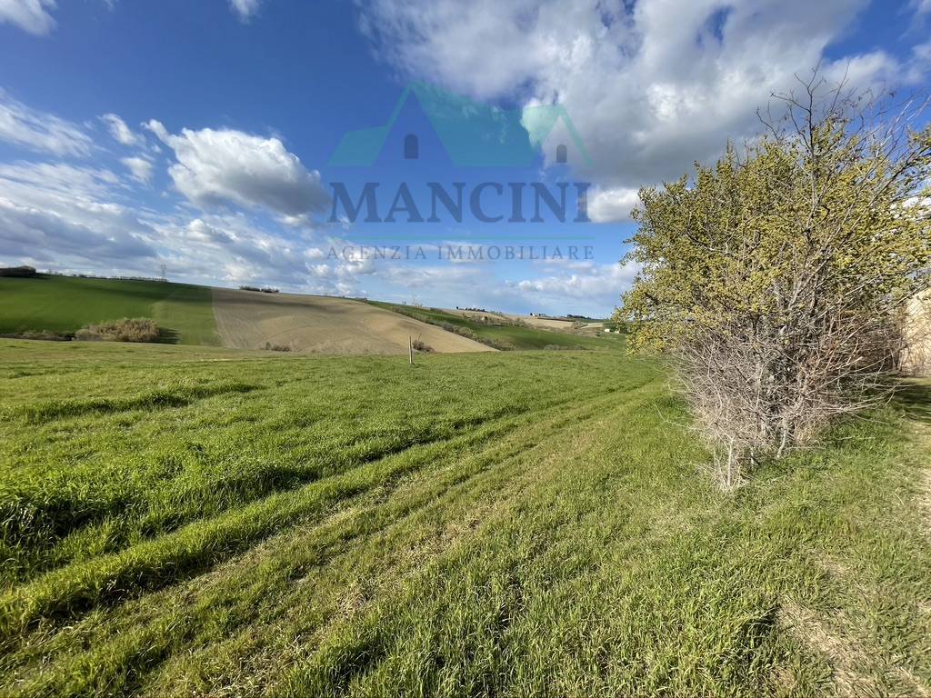 Rustico in vendita a Cingoli, periferia