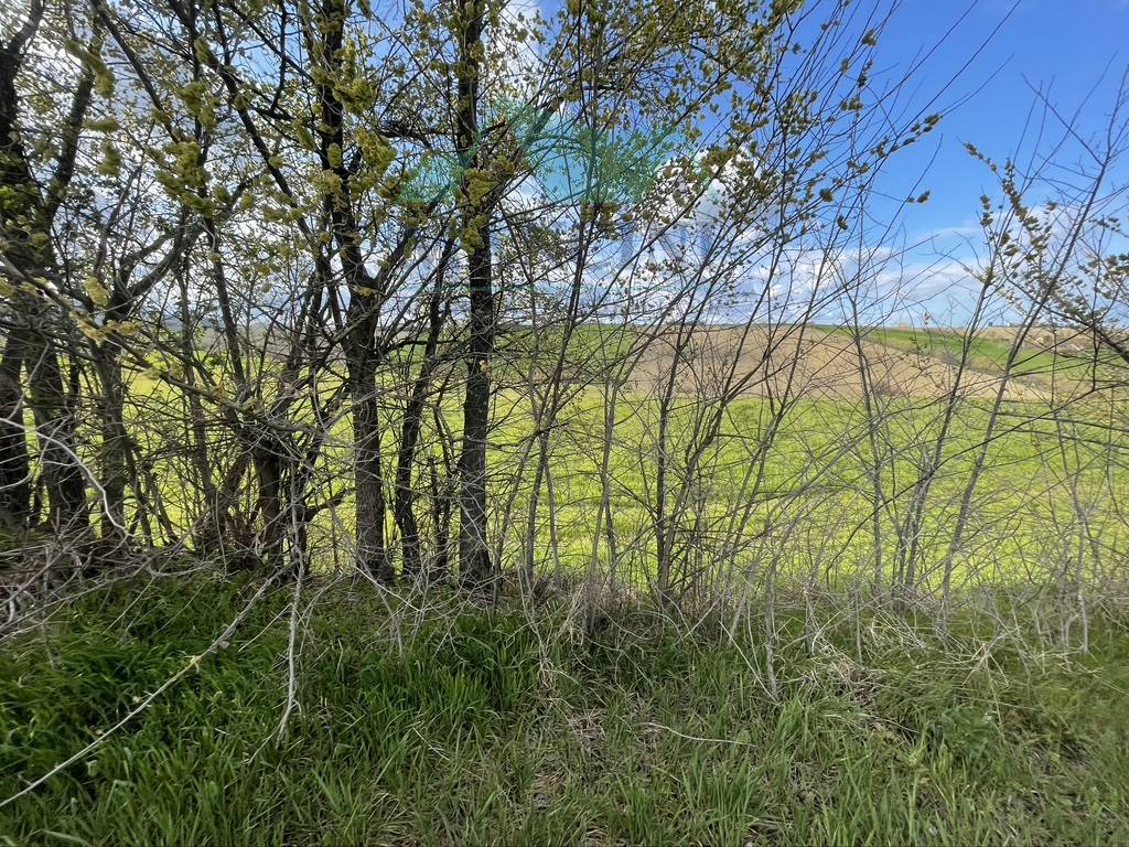 Rustico in vendita a Cingoli, periferia